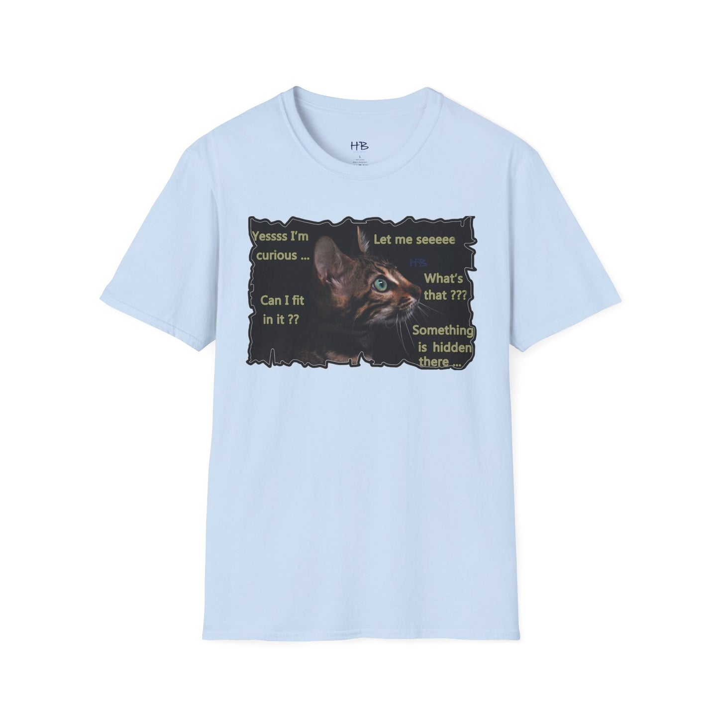 Kitten curiosity and care free