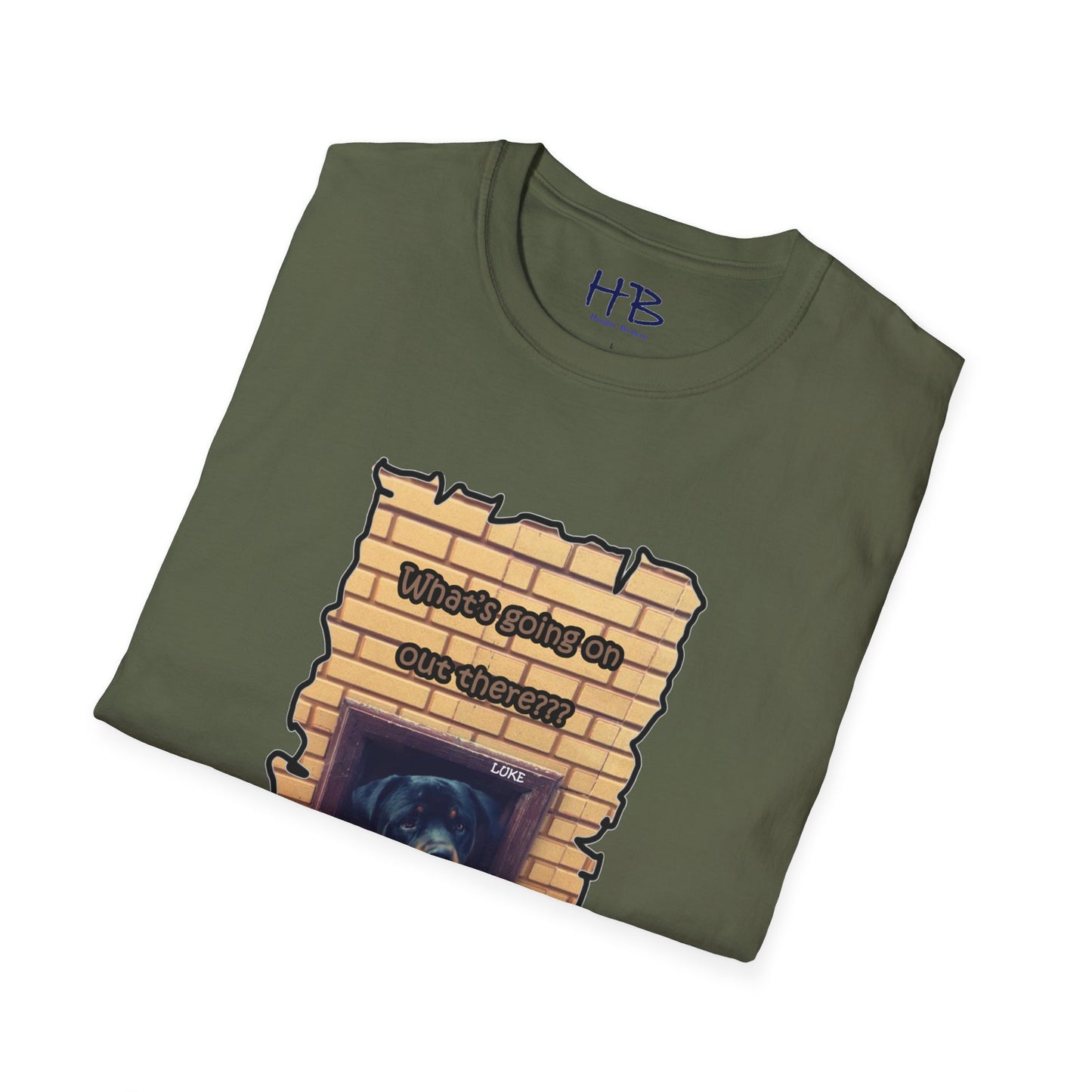 A Tale of Luke's Awakening: Puzzled Perfection looking to Embrace Equanimity