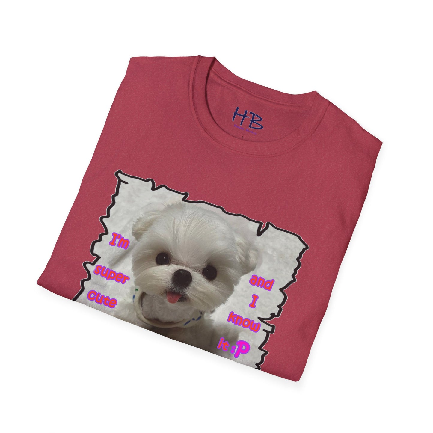 Cutest Bichon Maltese screaming out that it is the "Cutest and it knows it!!!"