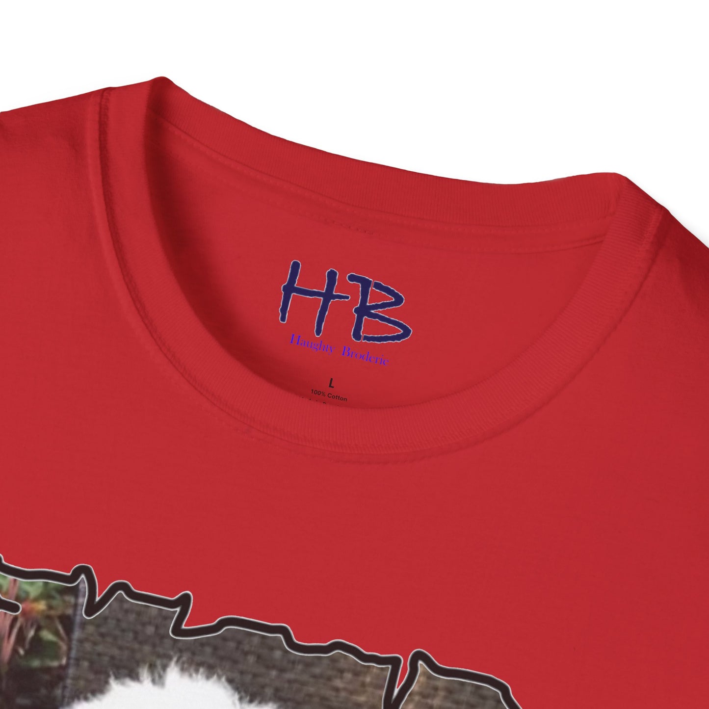 Bichon Malthese - Hermes with big smile and pink tongue