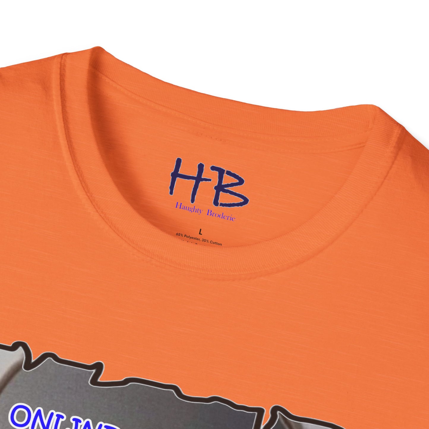 Reflective Message in Metaphorical Apple using Digital Insights with Hidden Realities: Unveiling Digital Realities Unmasking Virtual Facades  Beyond the Screen's Perception