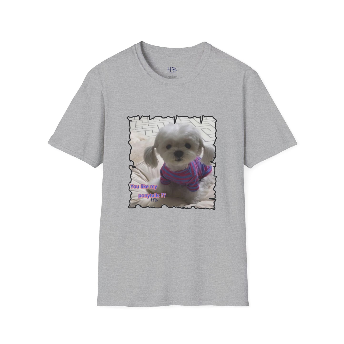 Bichon Maltese extra cute ponytails