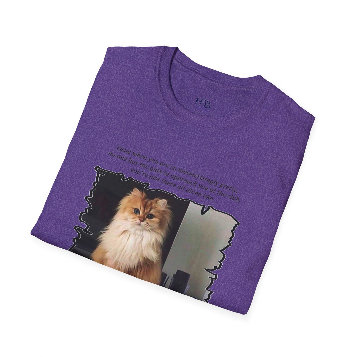 Mesmerizing Lonely Kitty