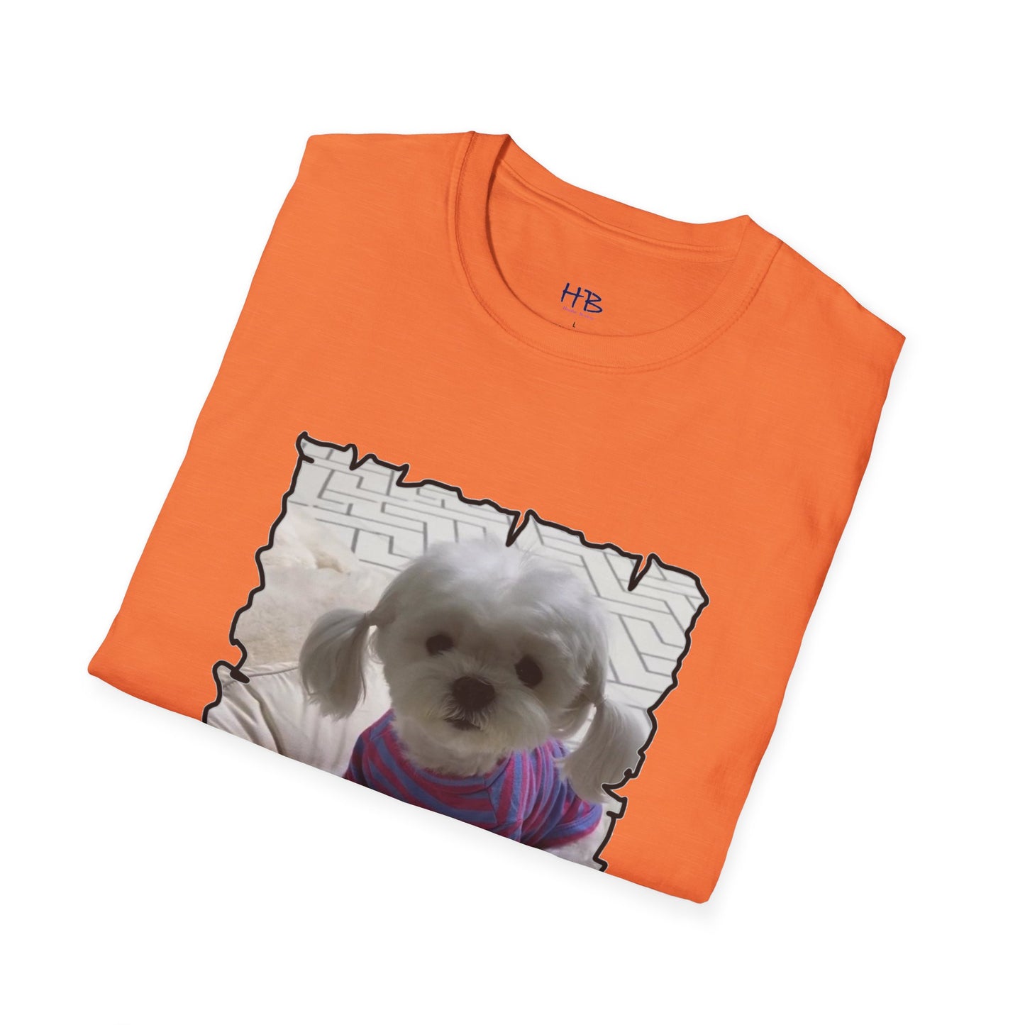 Bichon Maltese extra cute ponytails