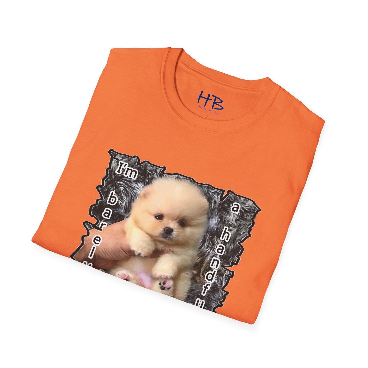 Look at me Im so small and cute Bichon Maltese