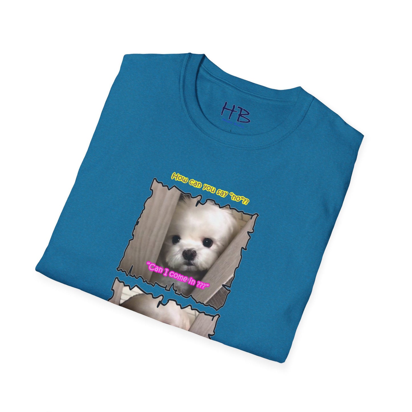 Cutest white Bichon Maltese wanting to play