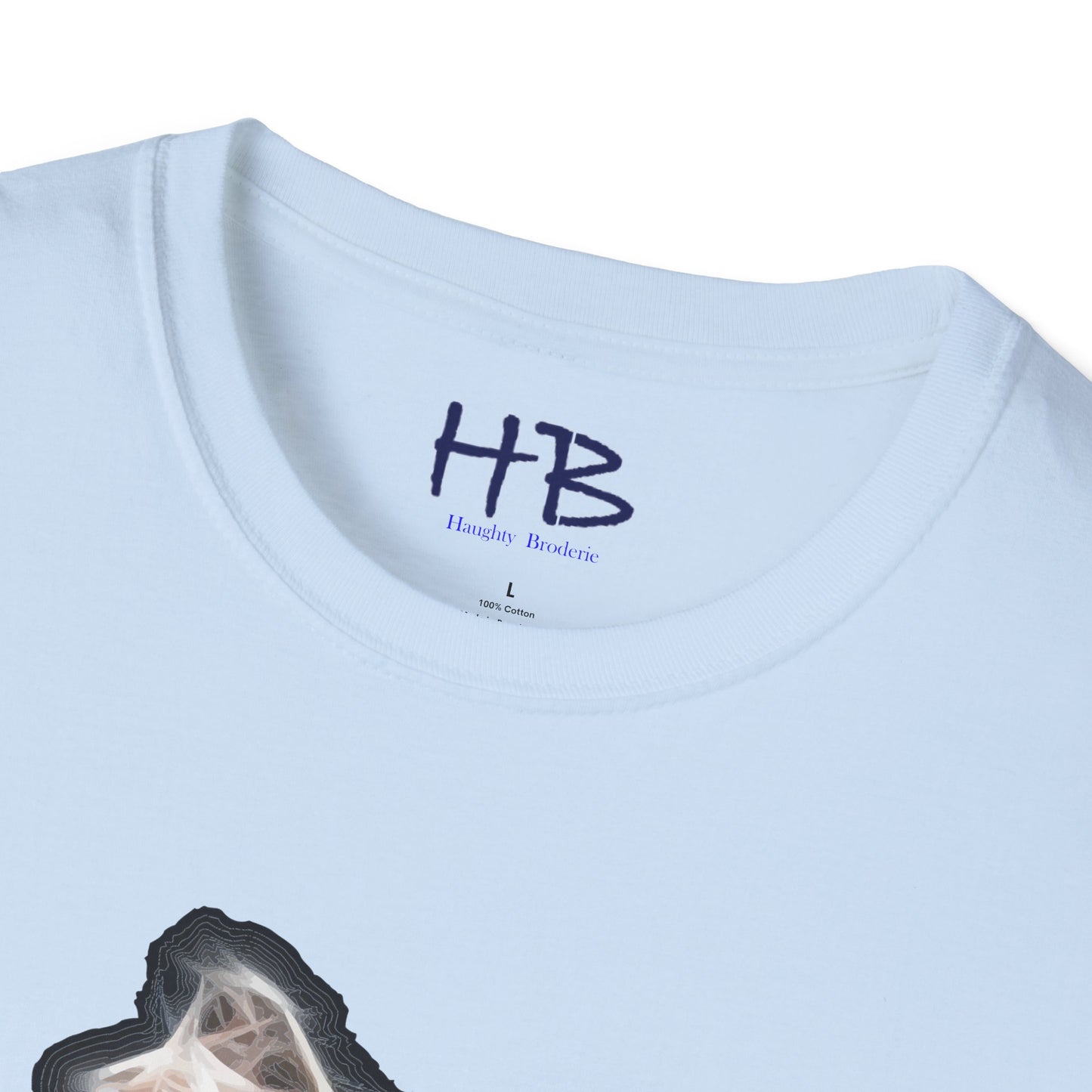 Celebrating Ballet's Artistry Fluid Transitions: The Enchanting Pas de Bourrée