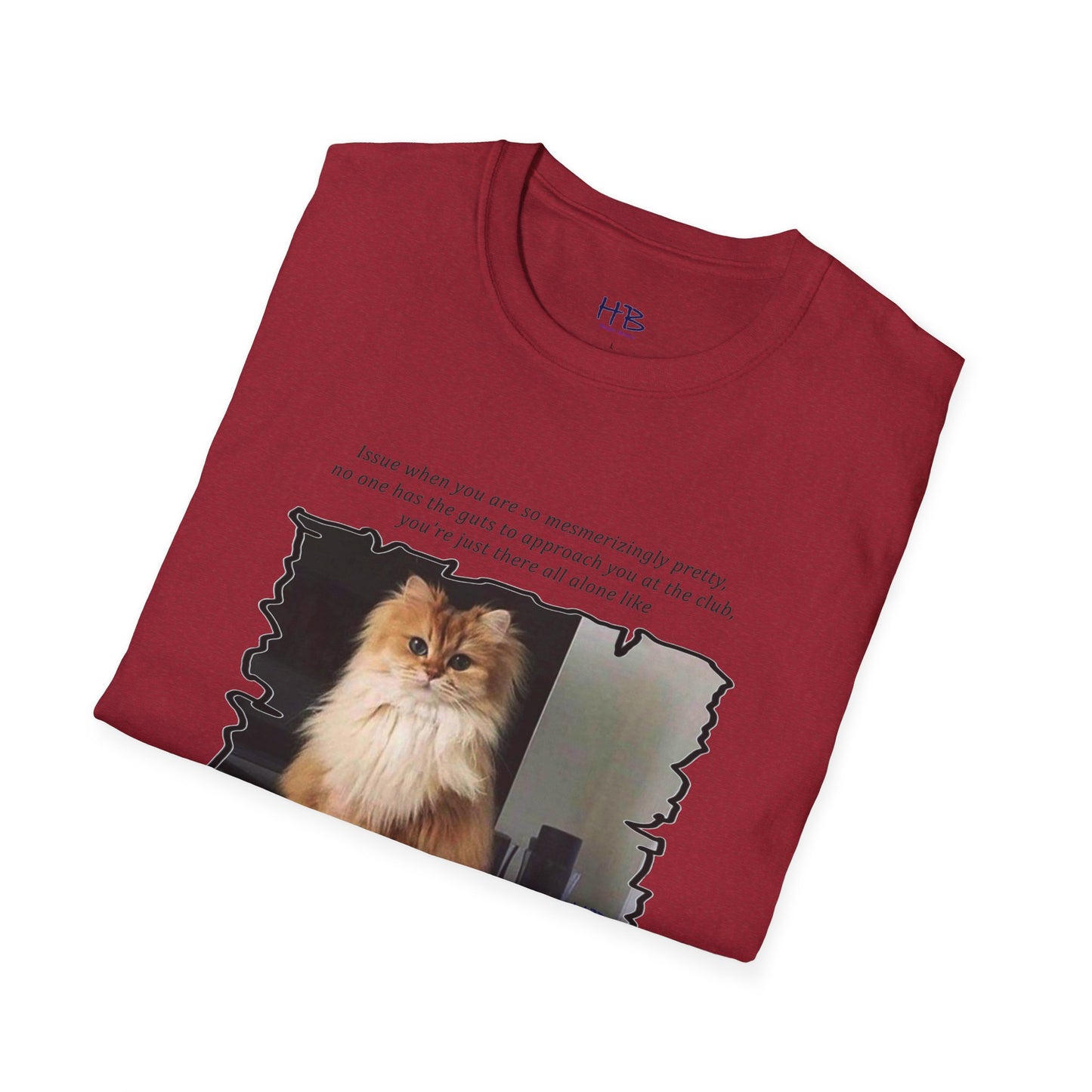 Mesmerizing Lonely Kitty