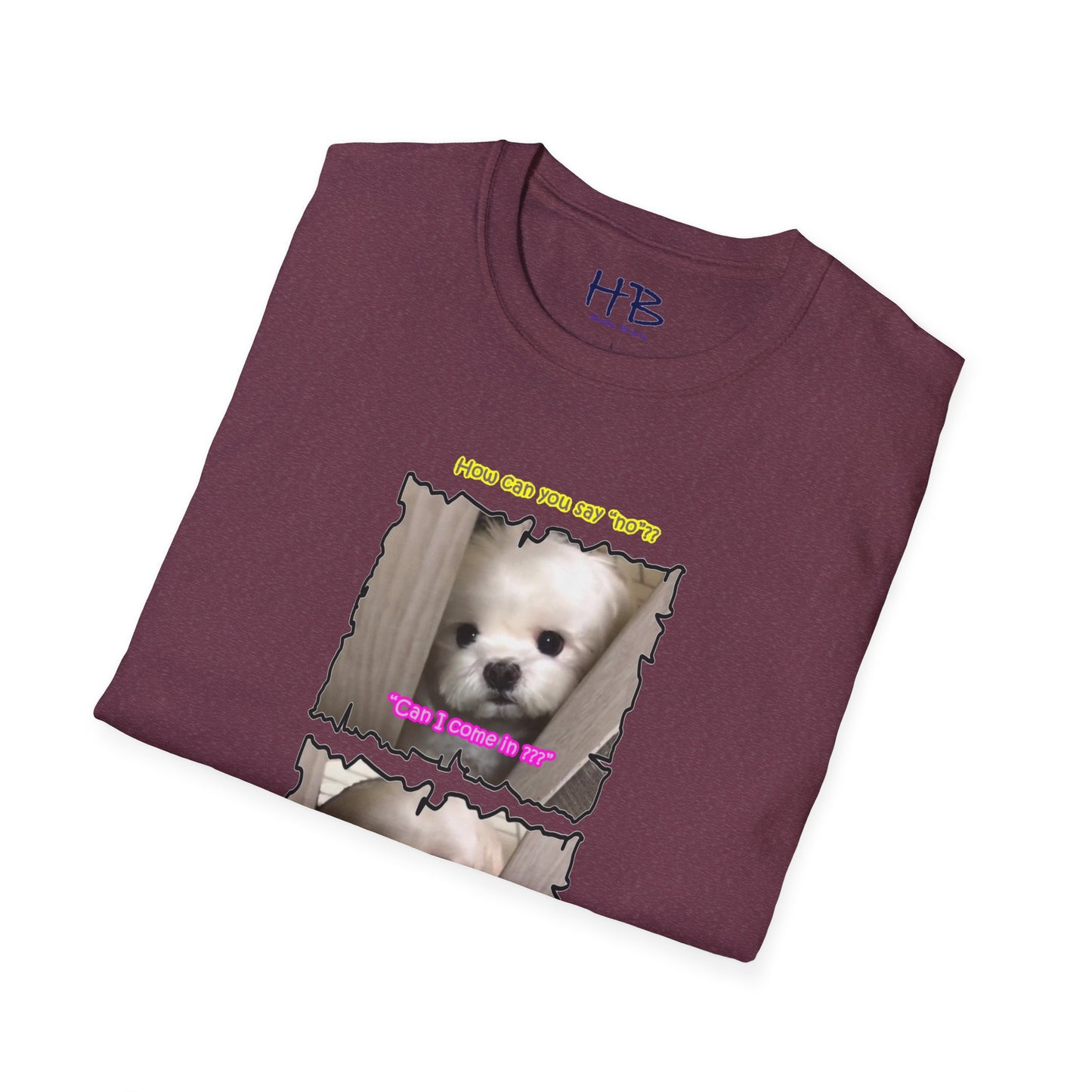 Cutest white Bichon Maltese wanting to play