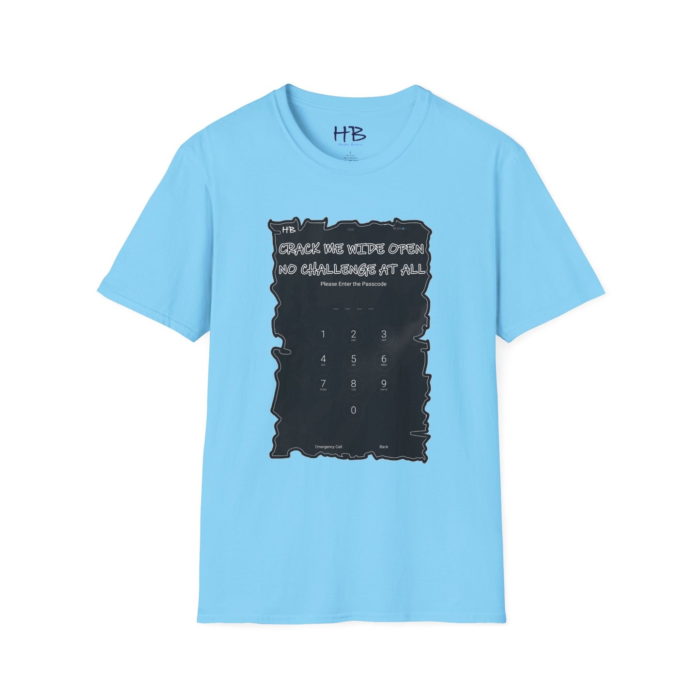 CRACK ME WIDE OPEN, NO CHALLENGE AT ALL; Ice-Breaker Elegance with Ciphered Charm Ensemble