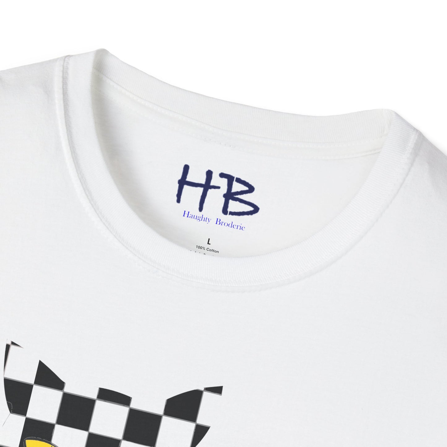 Unconventional Elegance: The Checkered Cat