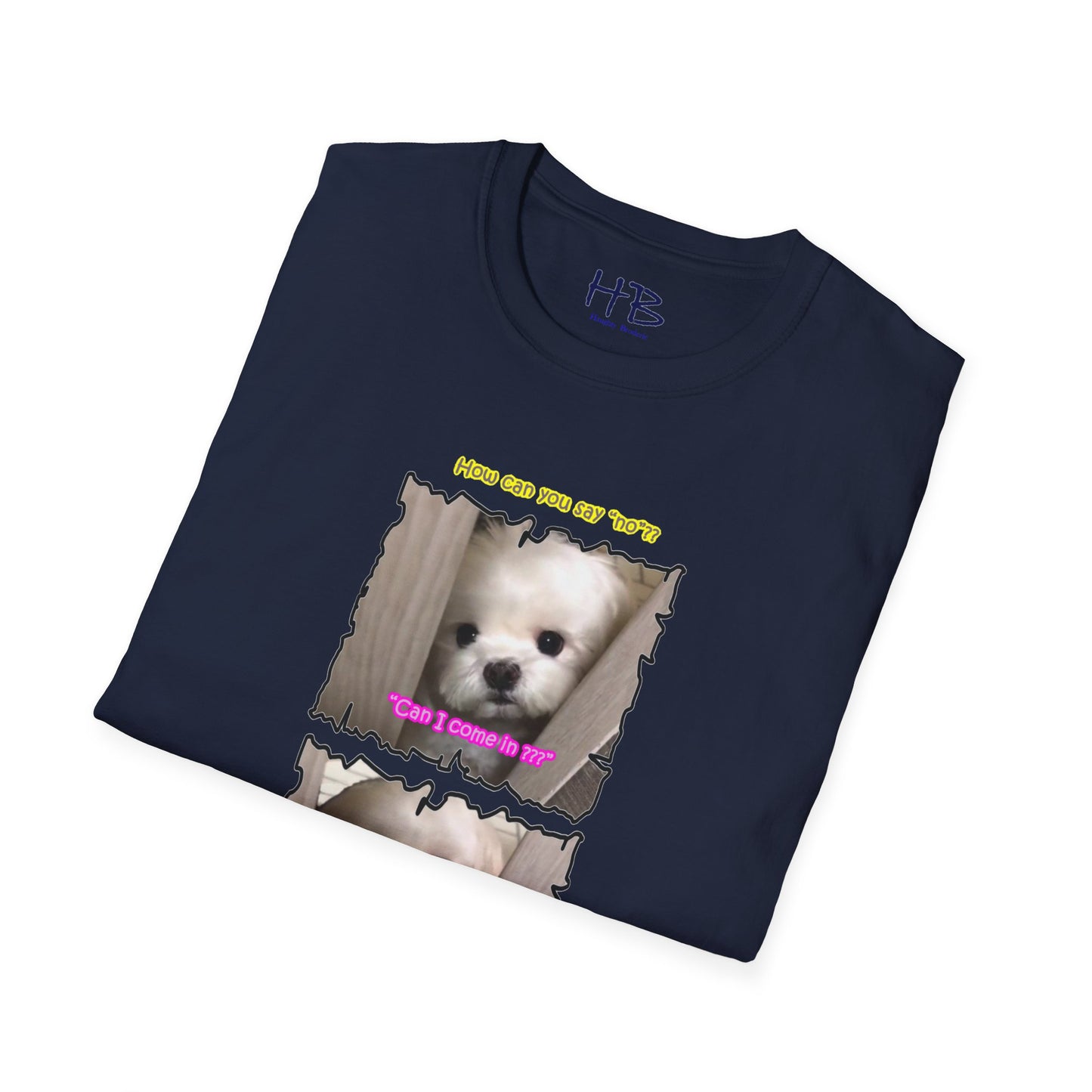 Cutest white Bichon Maltese wanting to play