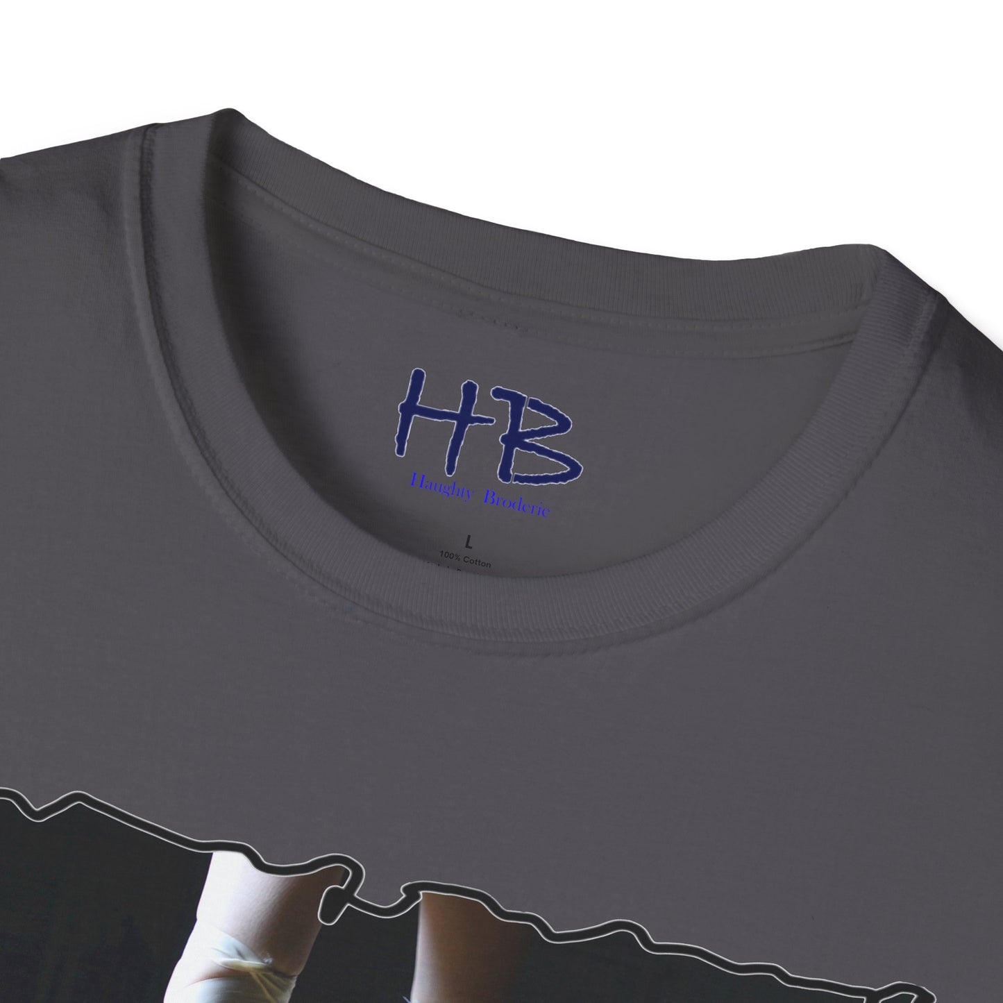 Embracing the Symphony Splendor in Style:  Unleashing Ballet's Charisma