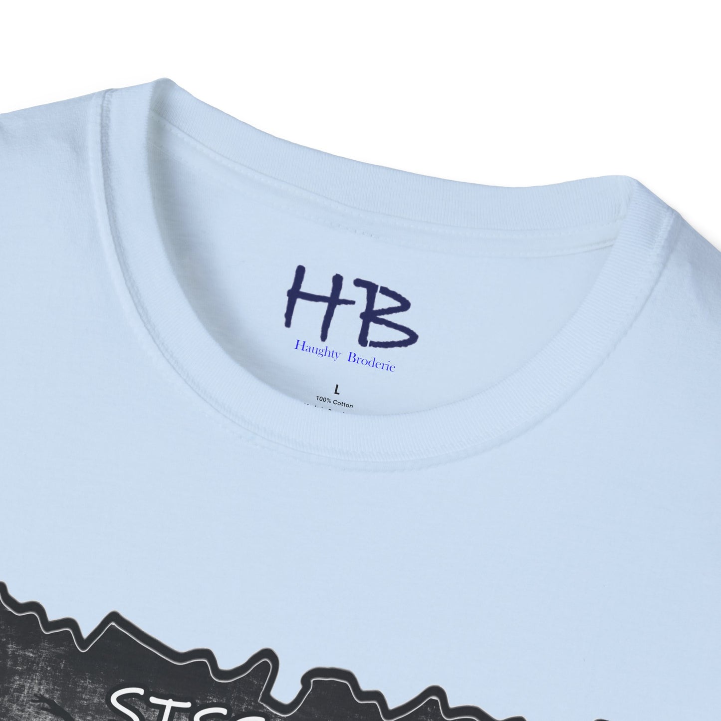 Sissonne Symphony: Capturing the Essence of Ballet with The Ballerina's Aura