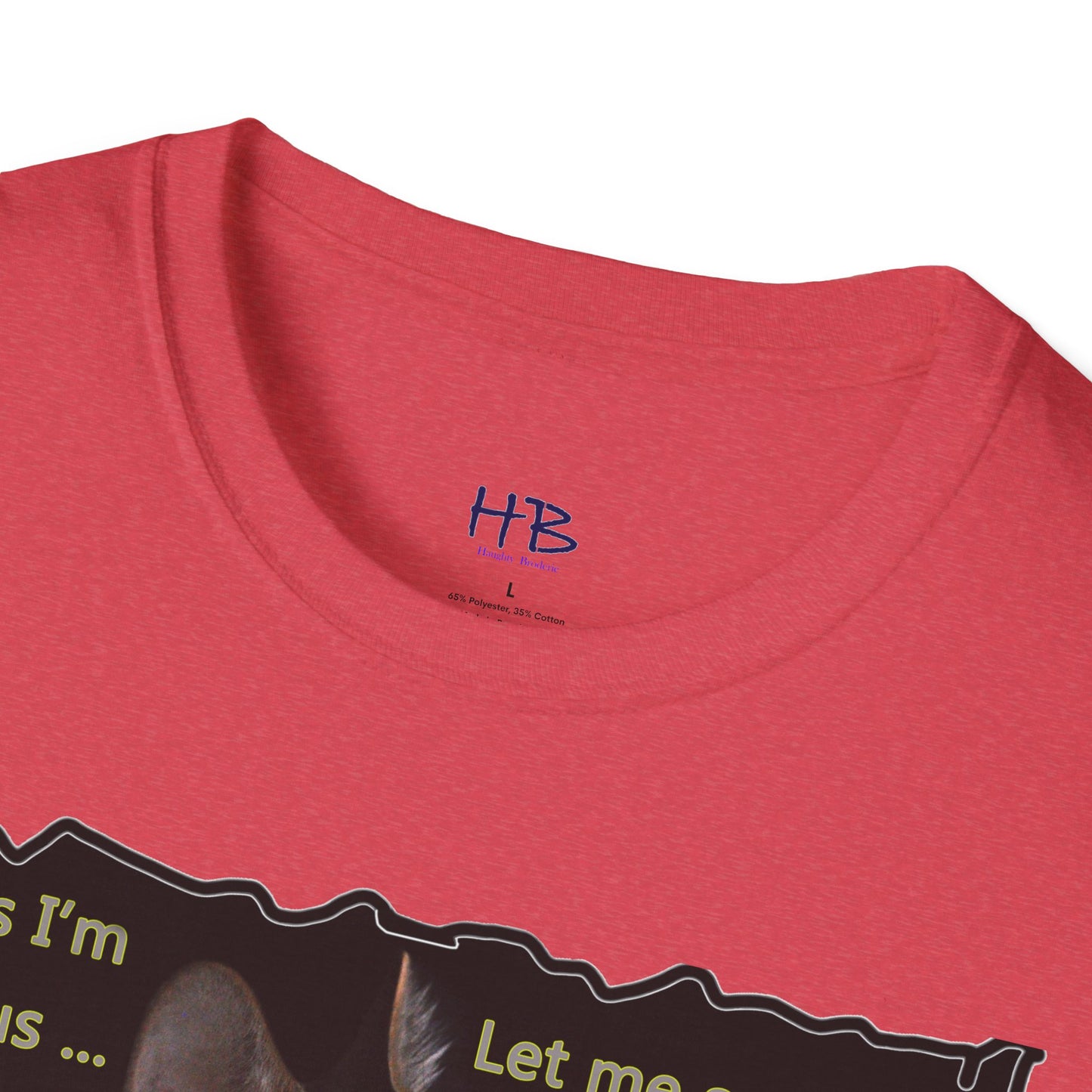 Kitten curiosity and care free