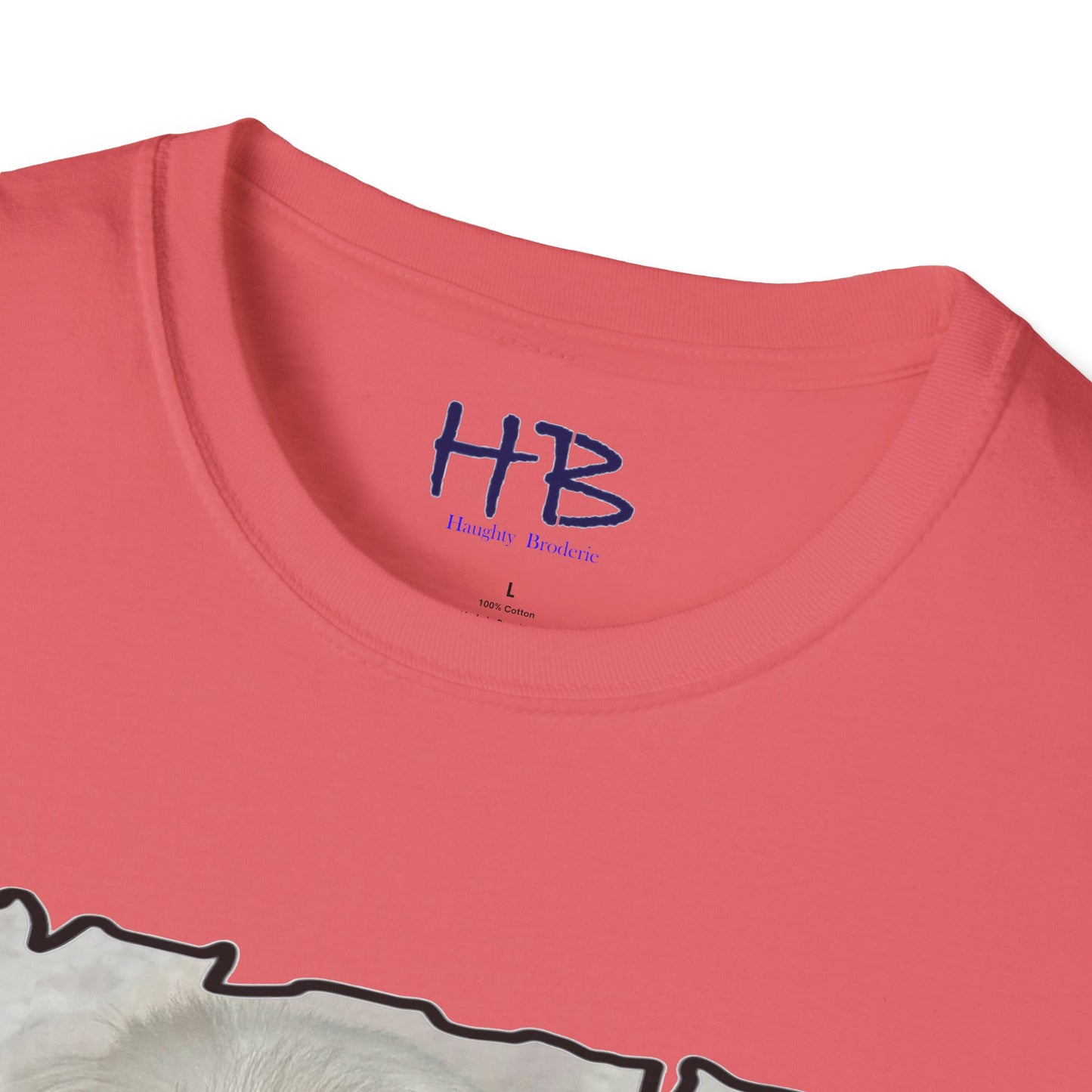 Cutest Bichon Maltese screaming out that it is the "Cutest and it knows it!!!"