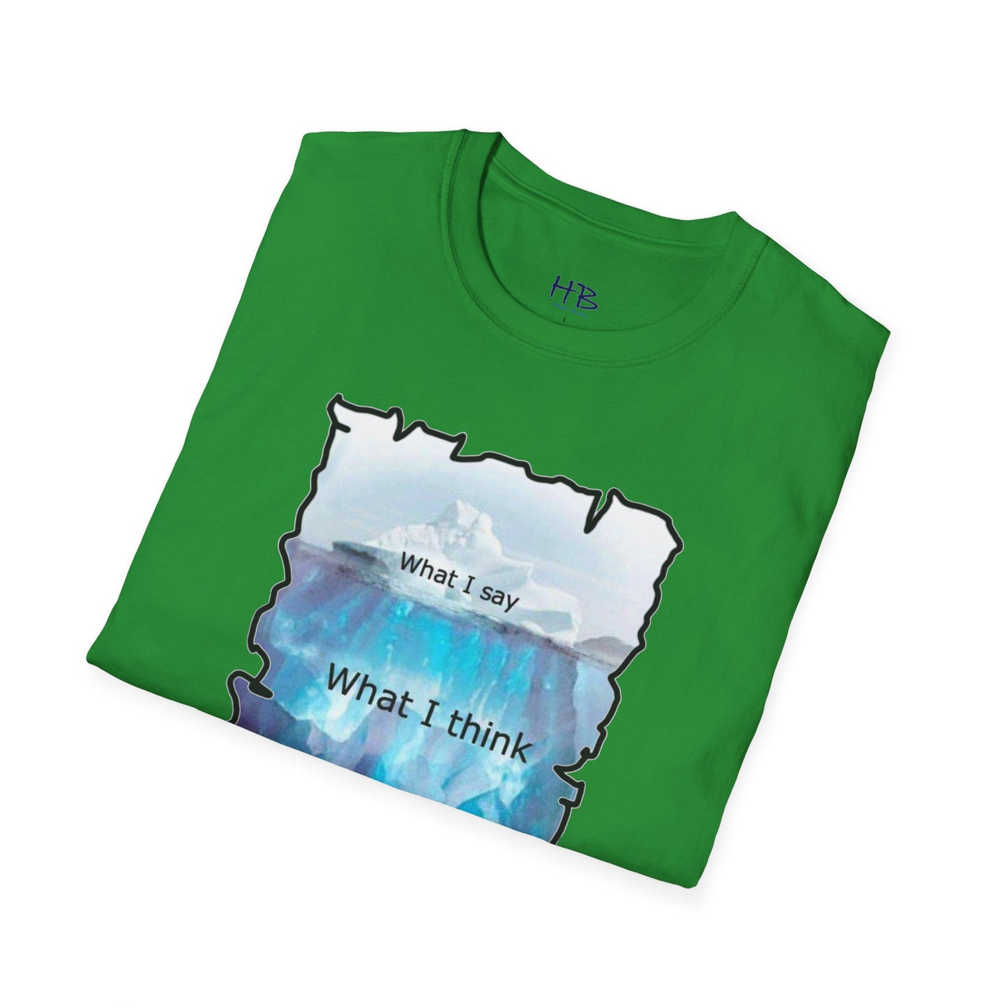 Below the Surface Veiled Verbalization