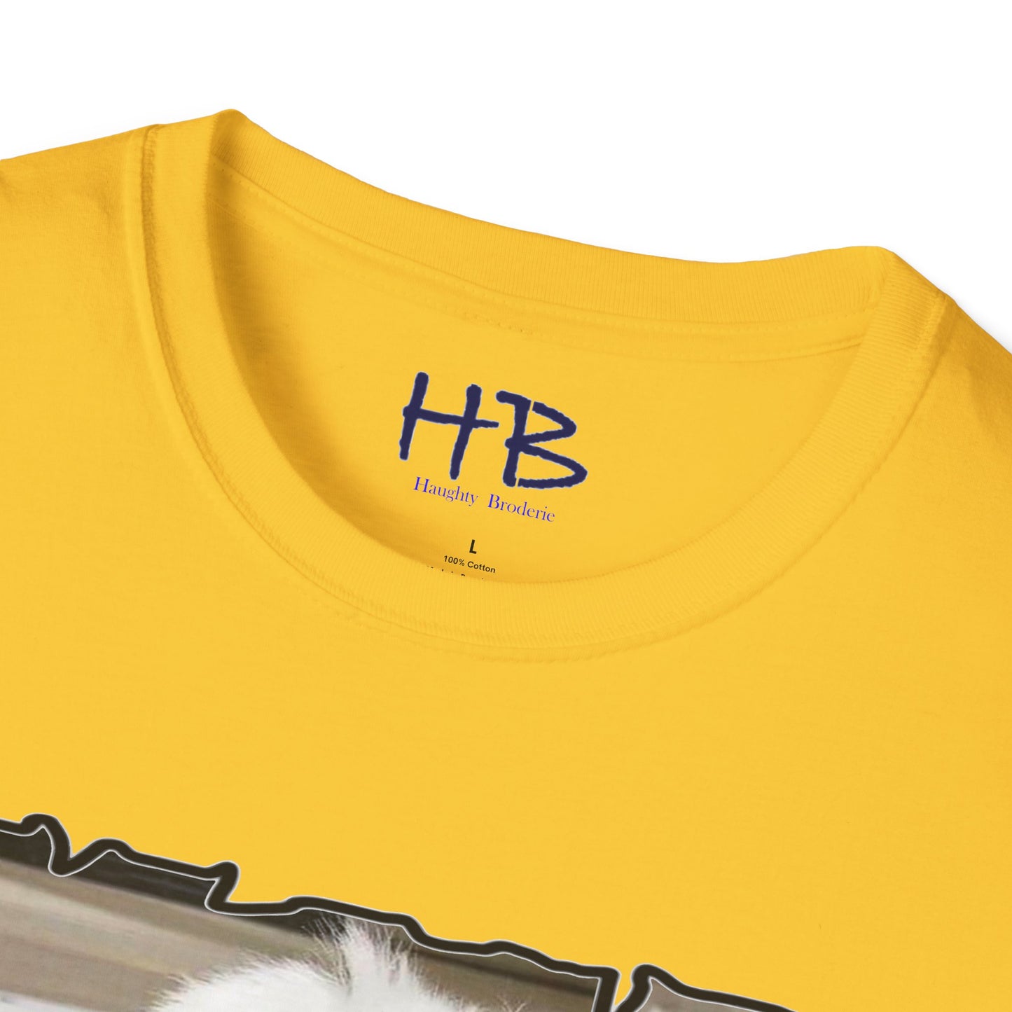 Very cute white Bichon Maltese