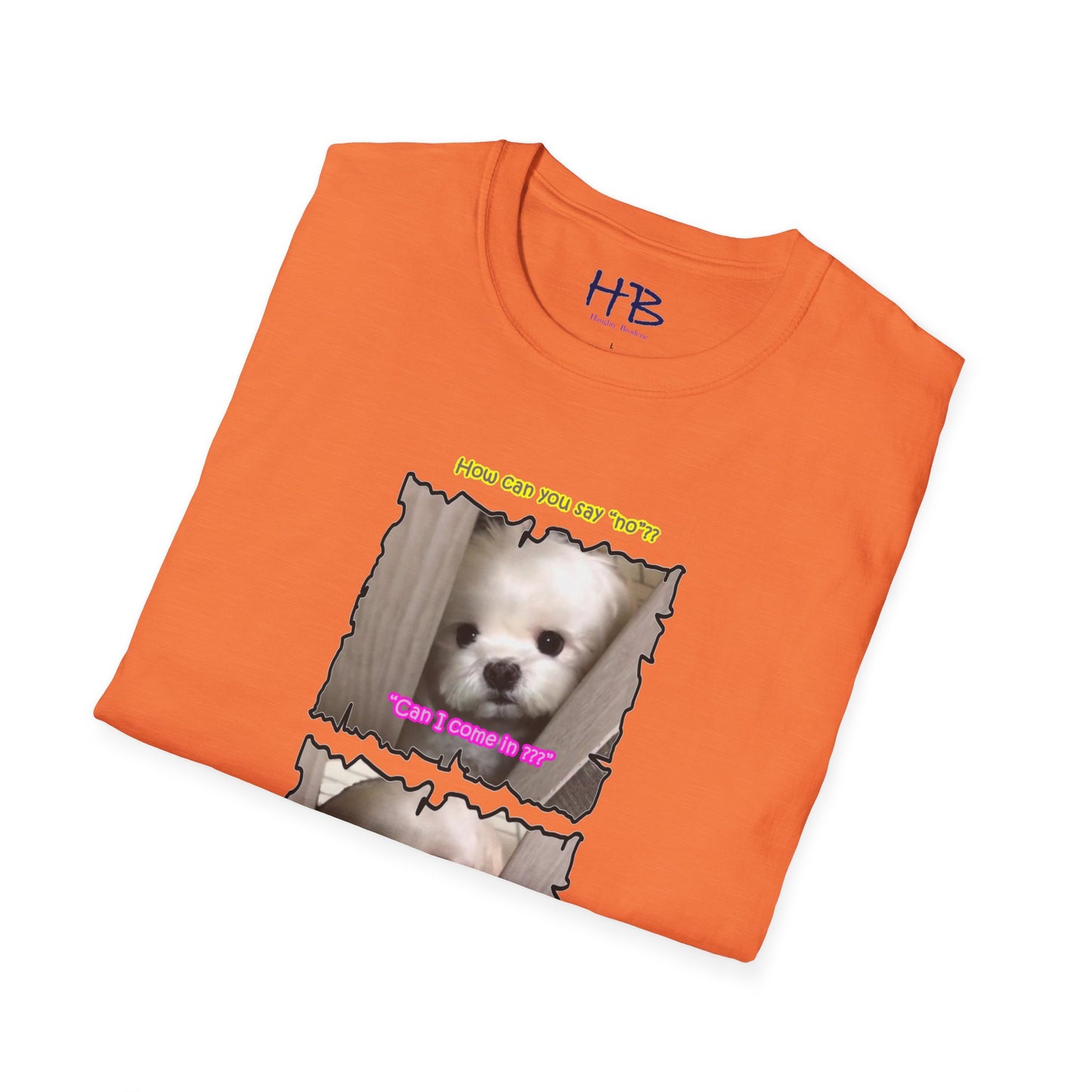 Cutest white Bichon Maltese wanting to play