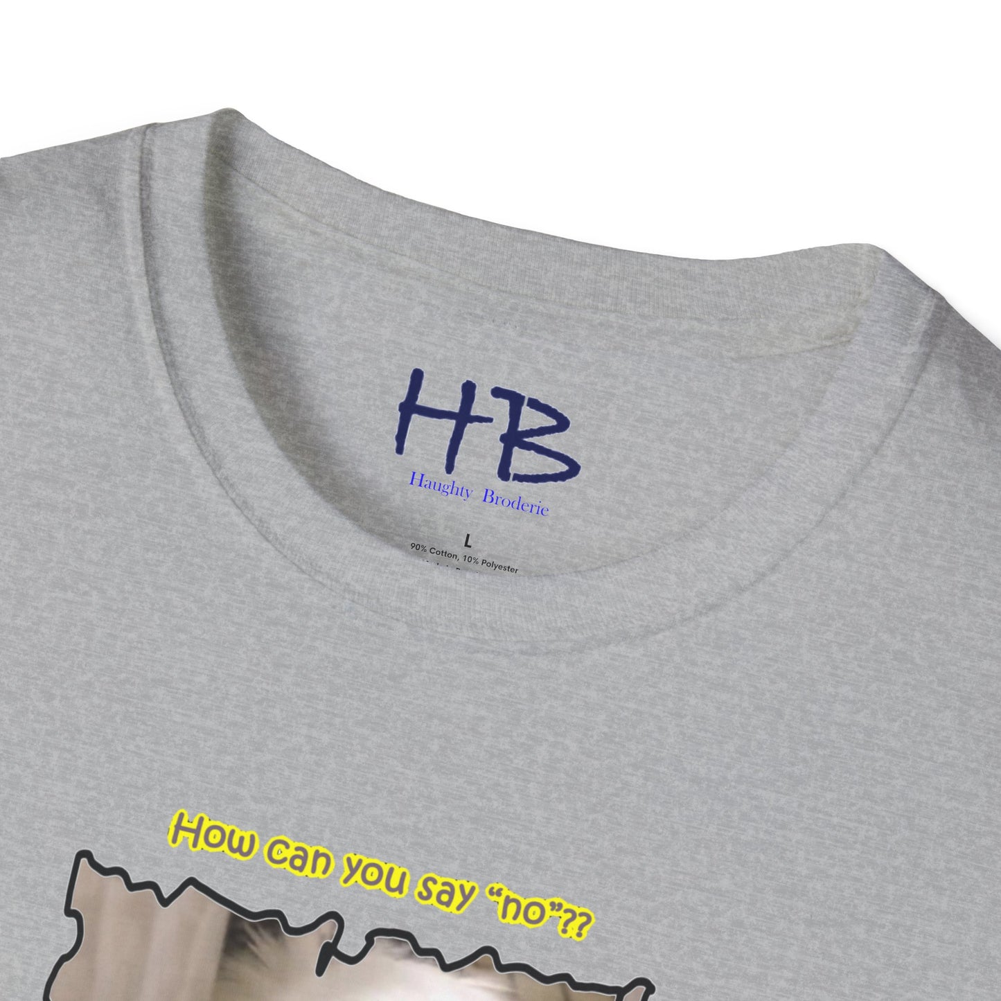 Cutest white Bichon Maltese wanting to play