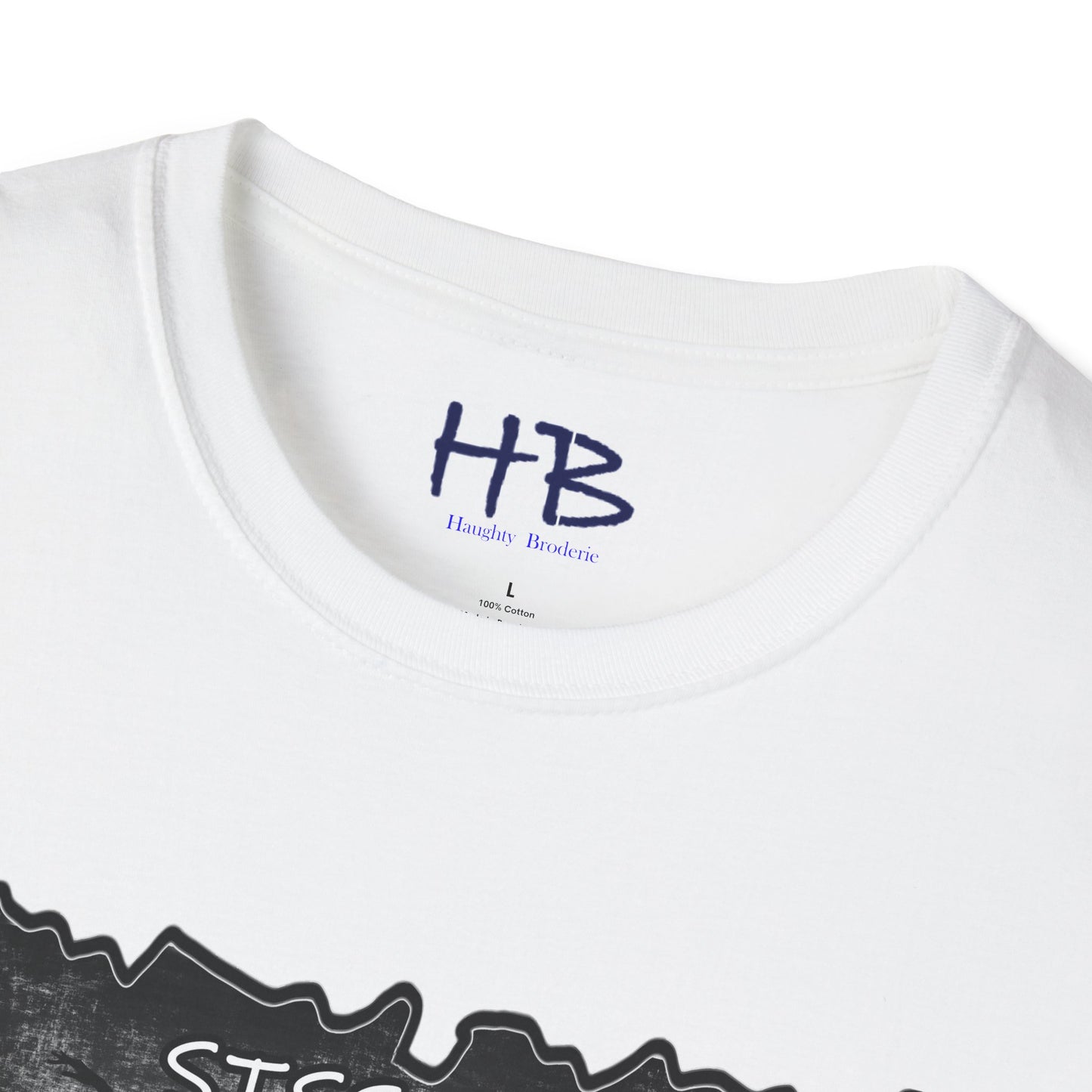 Sissonne Symphony: Capturing the Essence of Ballet with The Ballerina's Aura