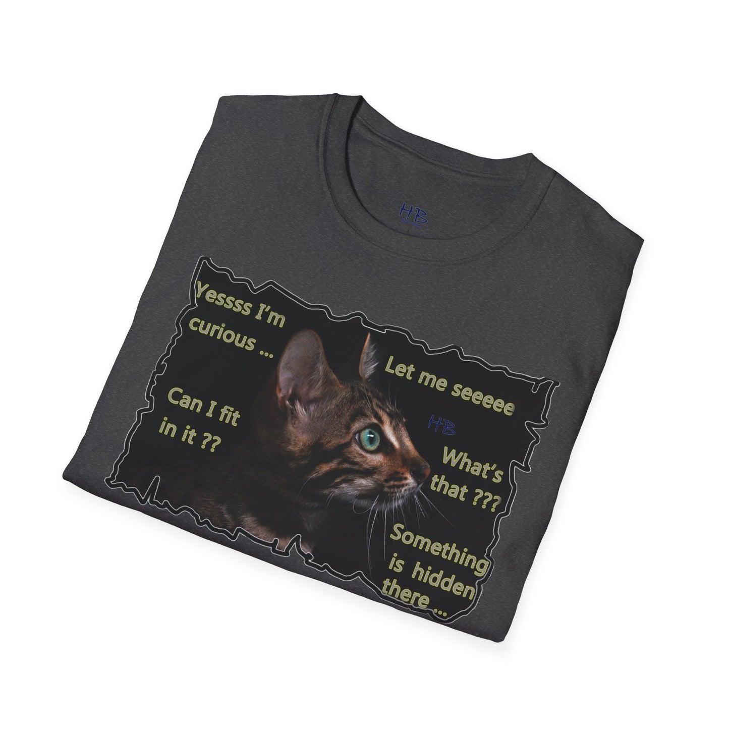 Kitten curiosity and care free