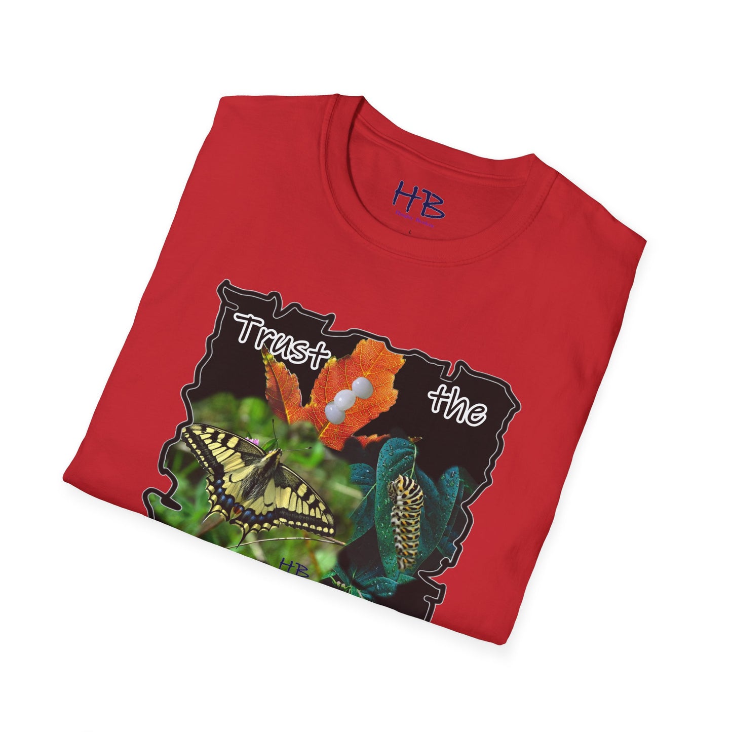 A Visual Odyssey of the Metamorphosis Marvel; The Circle of Life using Nature's Miracle to Embrace the Journey and Trust the Process from Eggs to Wings