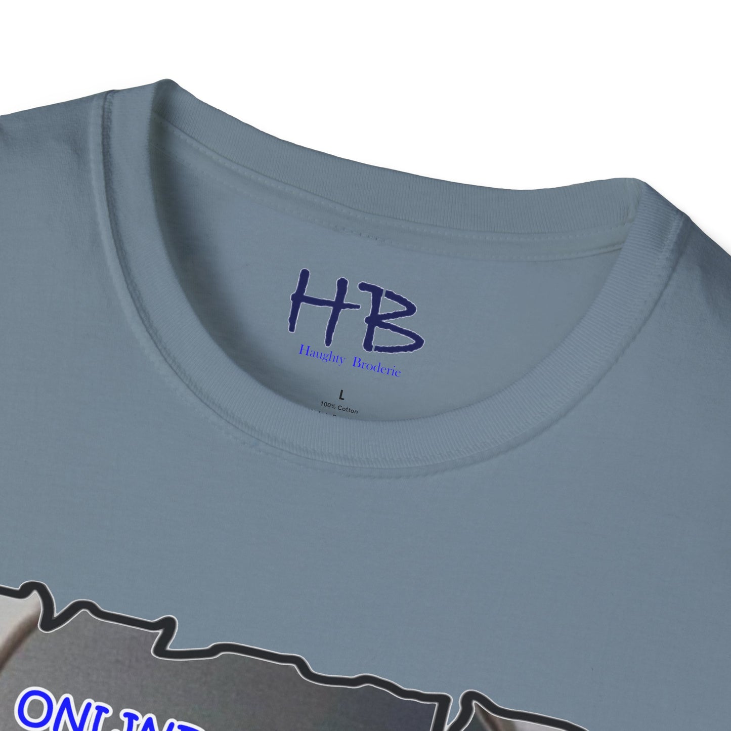 Reflective Message in Metaphorical Apple using Digital Insights with Hidden Realities: Unveiling Digital Realities Unmasking Virtual Facades  Beyond the Screen's Perception