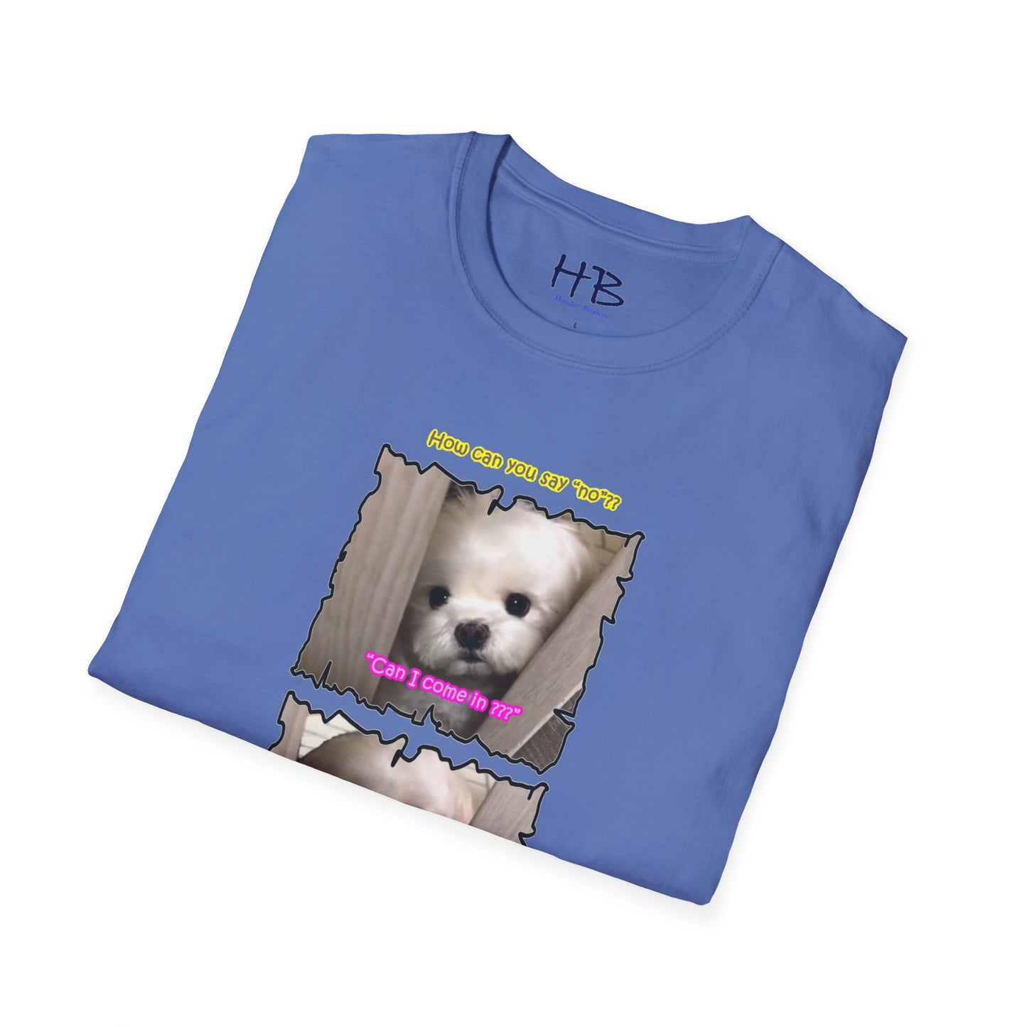 Cutest white Bichon Maltese wanting to play