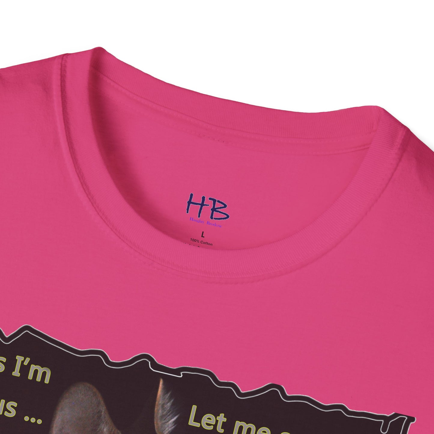 Kitten curiosity and care free