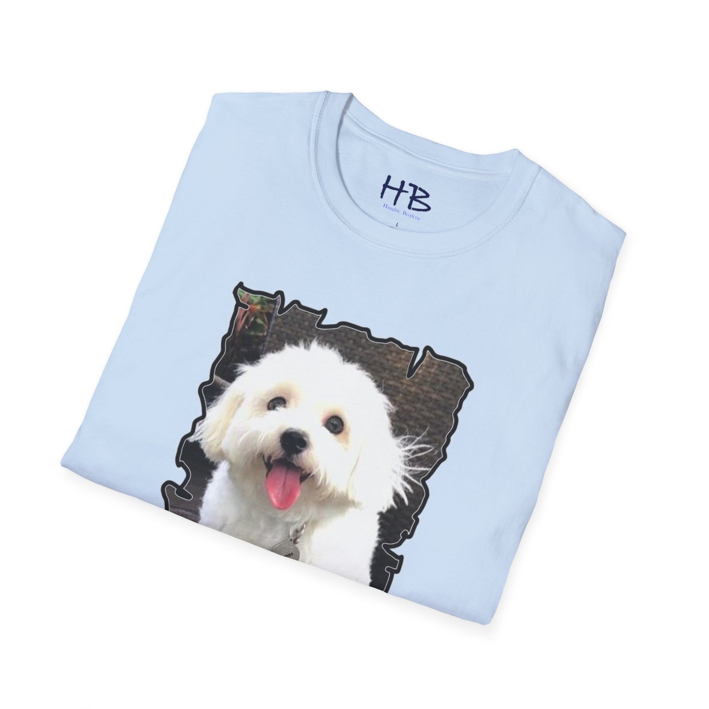 Bichon Malthese - Hermes with big smile and pink tongue