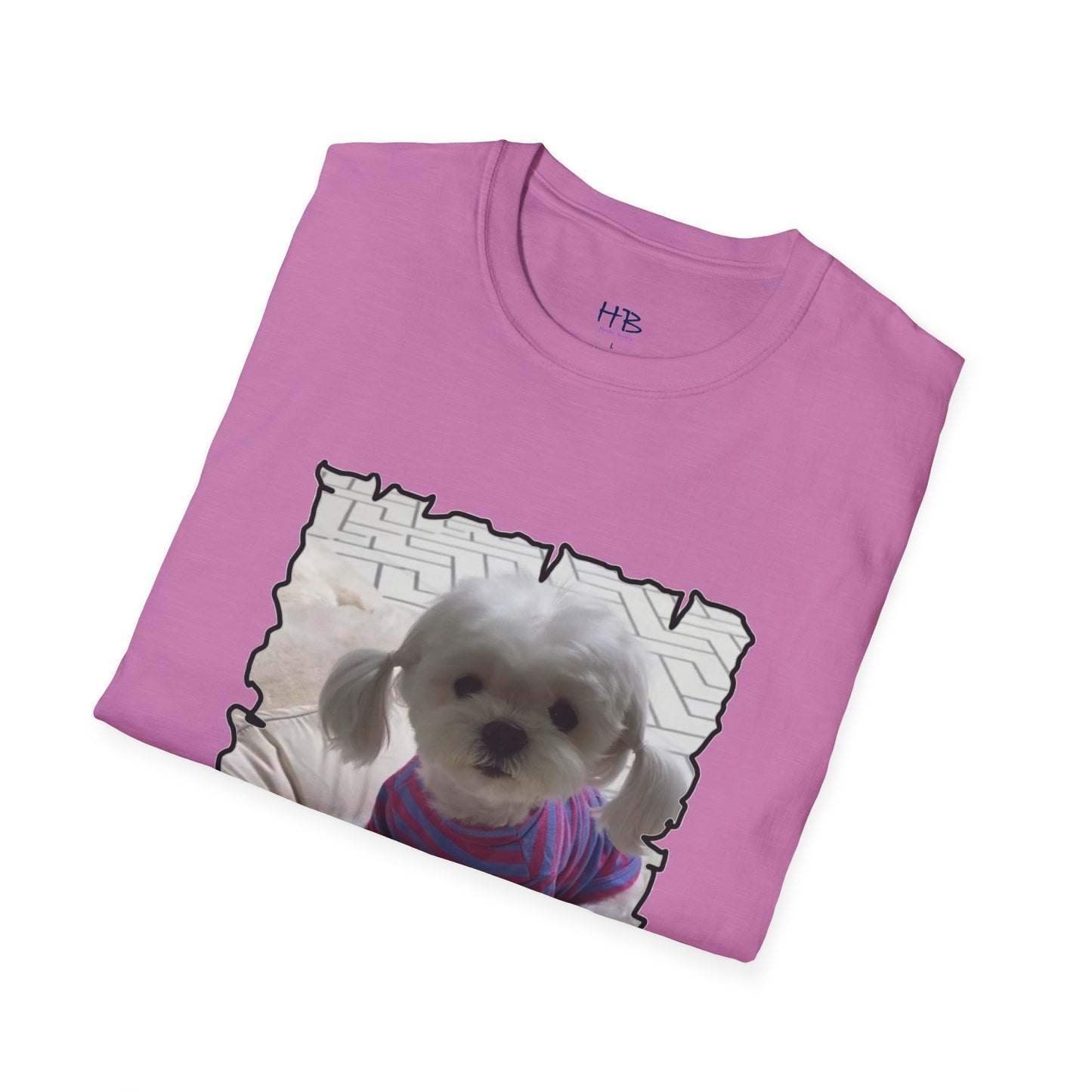 Bichon Maltese extra cute ponytails