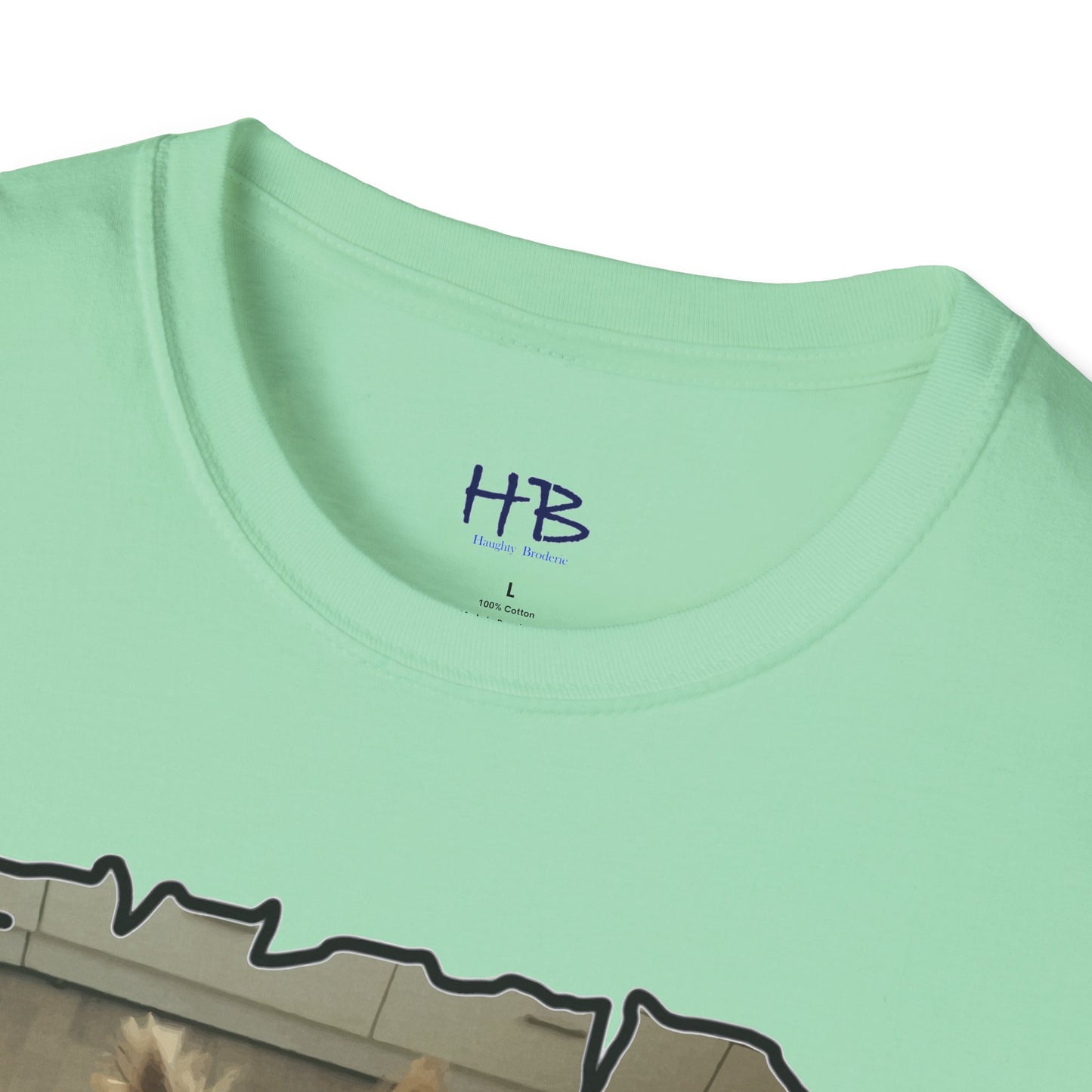 Corail the Yorkshire Toy little baby