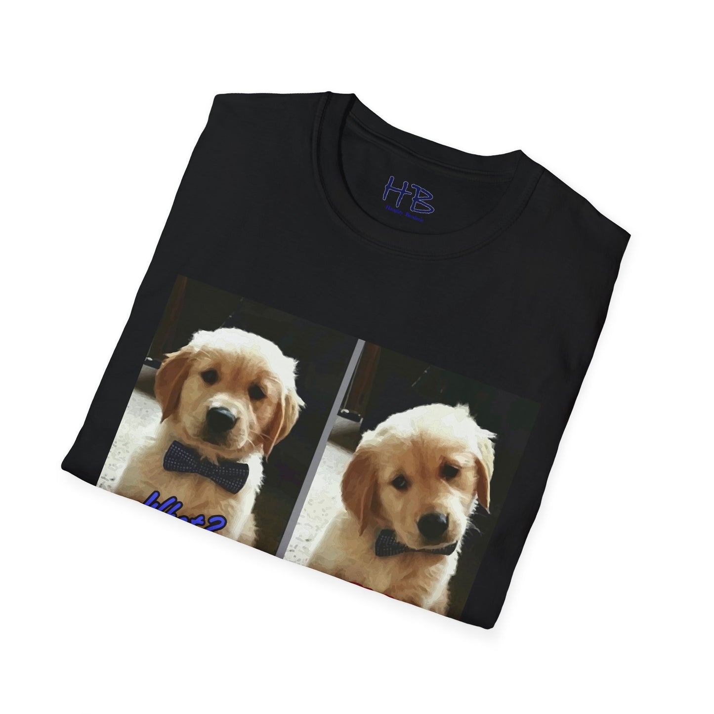 Labbie puppy asking "FOR REAL??????"