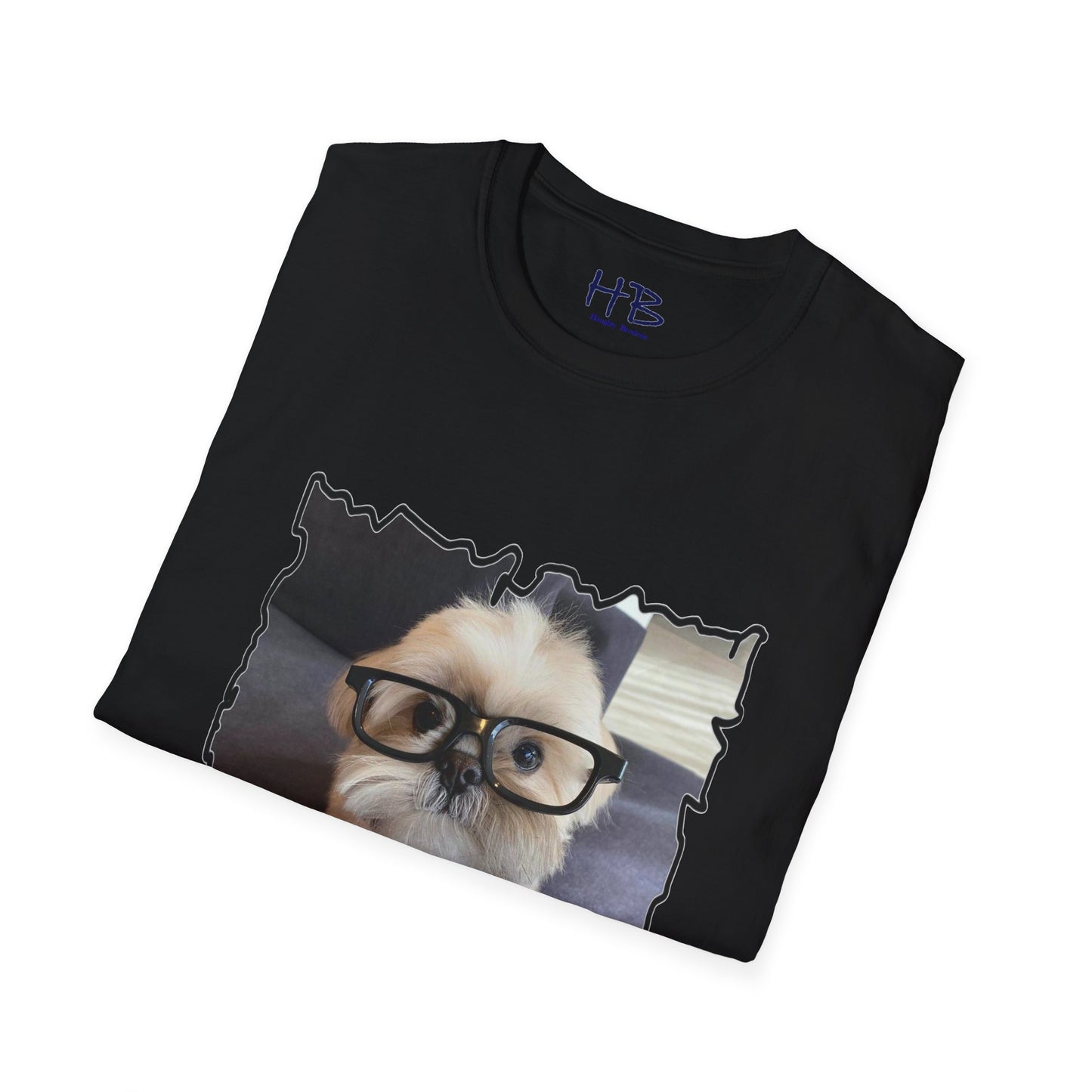 Bichon Maltese glasses according to his scrutiny