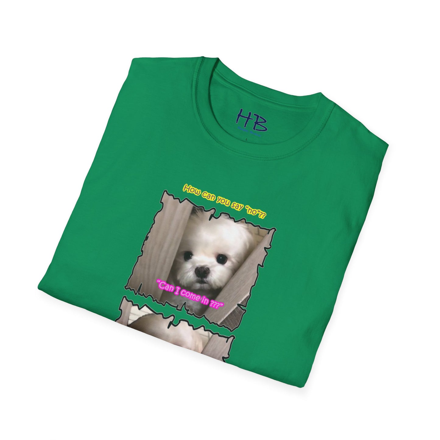 Cutest white Bichon Maltese wanting to play