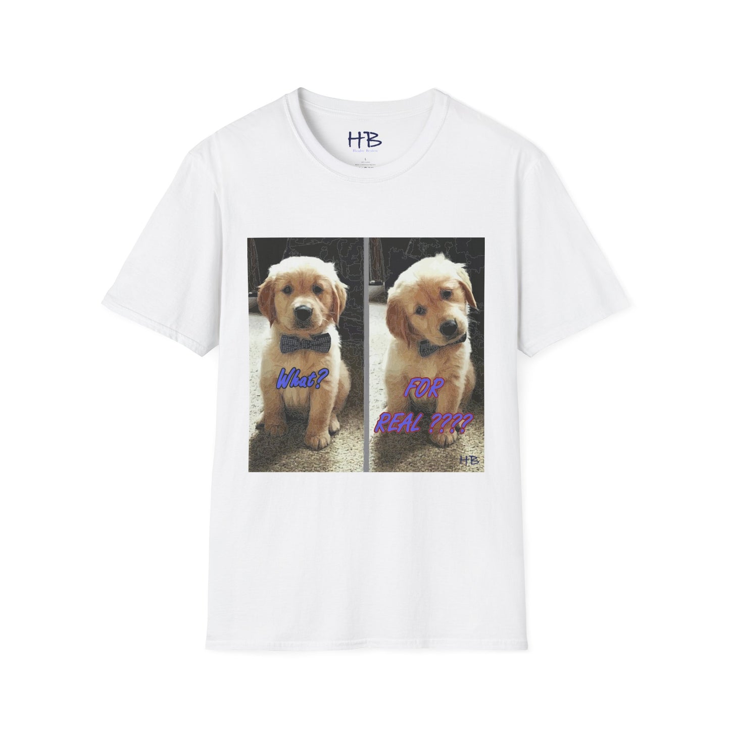 Labbie puppy asking "FOR REAL??????"