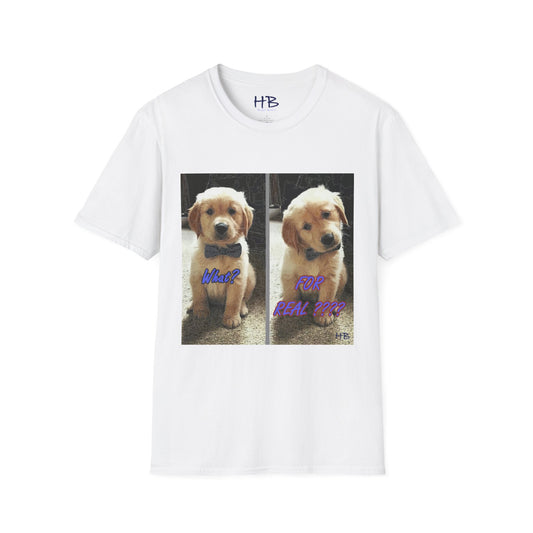 Labbie puppy asking "FOR REAL??????"