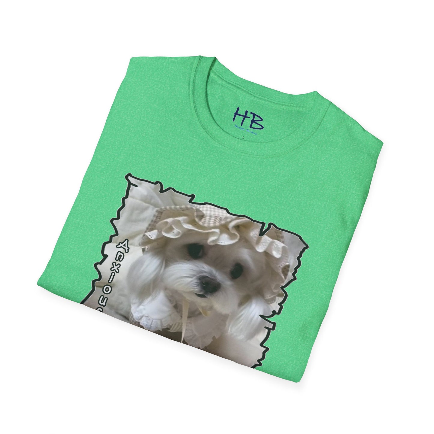 Bichon Maltese anxious about tonight's gala