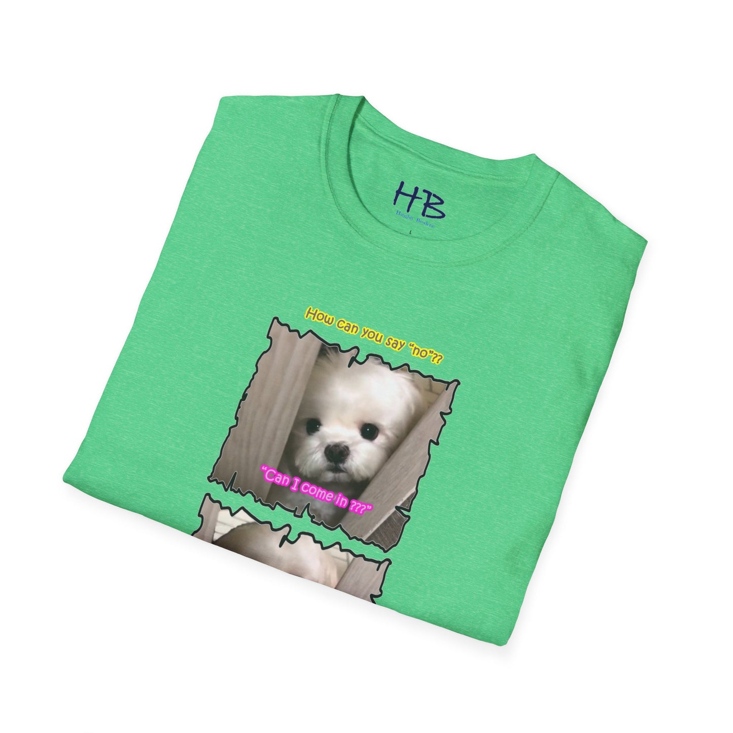 Cutest white Bichon Maltese wanting to play