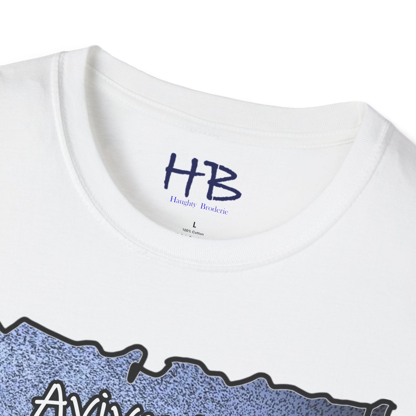 Feathered Aerial Aviary Cyclone; Plumage Tornado of Flight Aerial Ballet