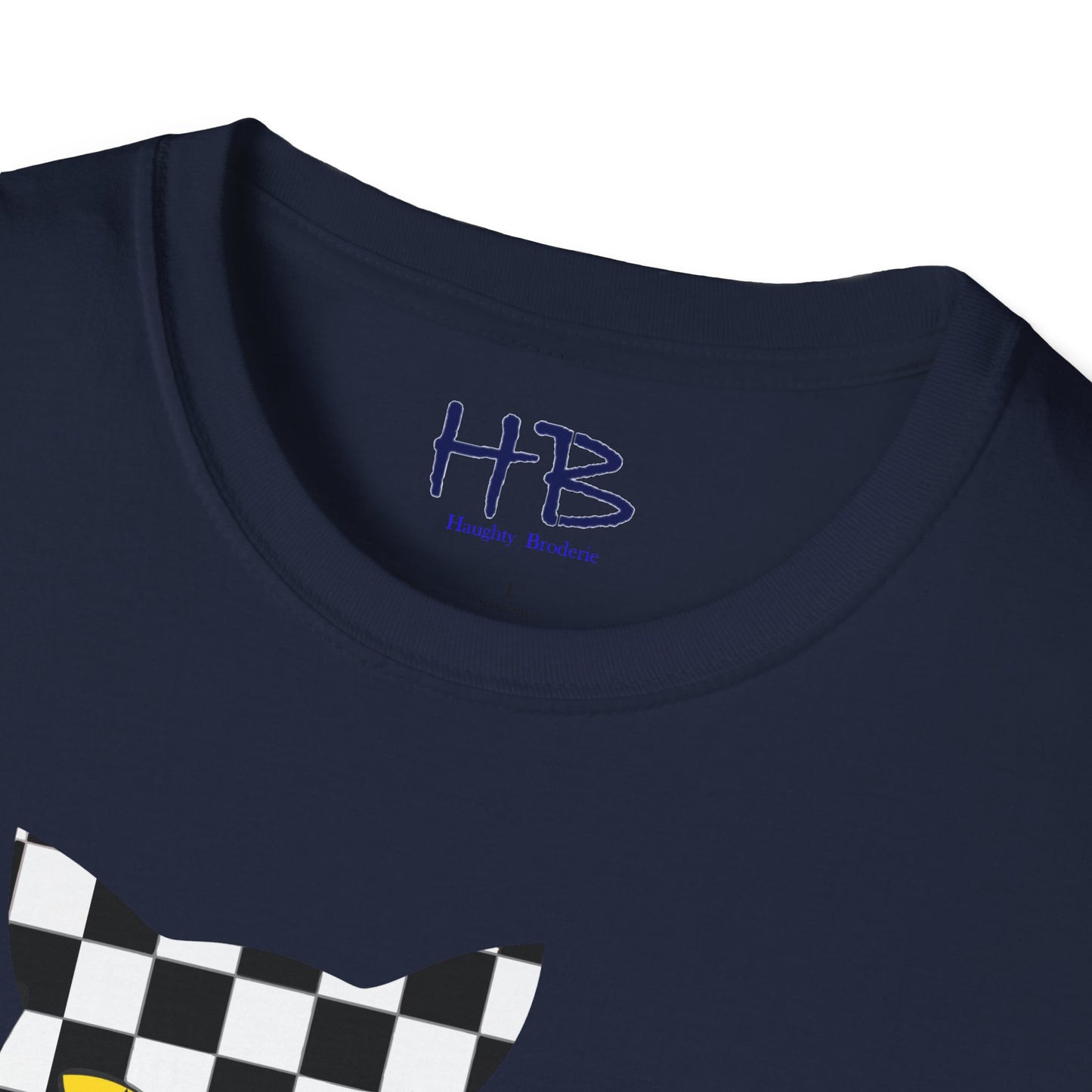 Unconventional Elegance: The Checkered Cat