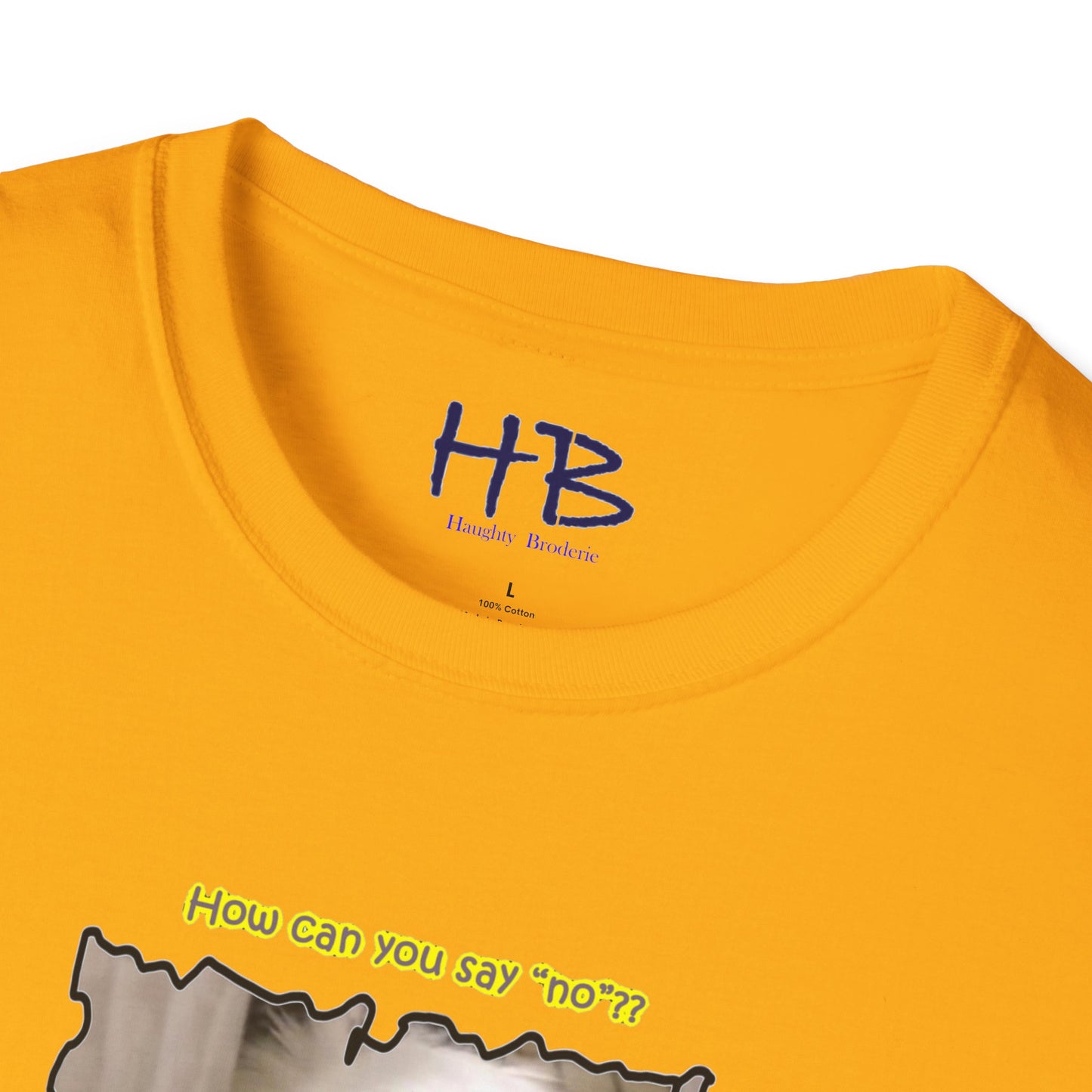 Cutest white Bichon Maltese wanting to play