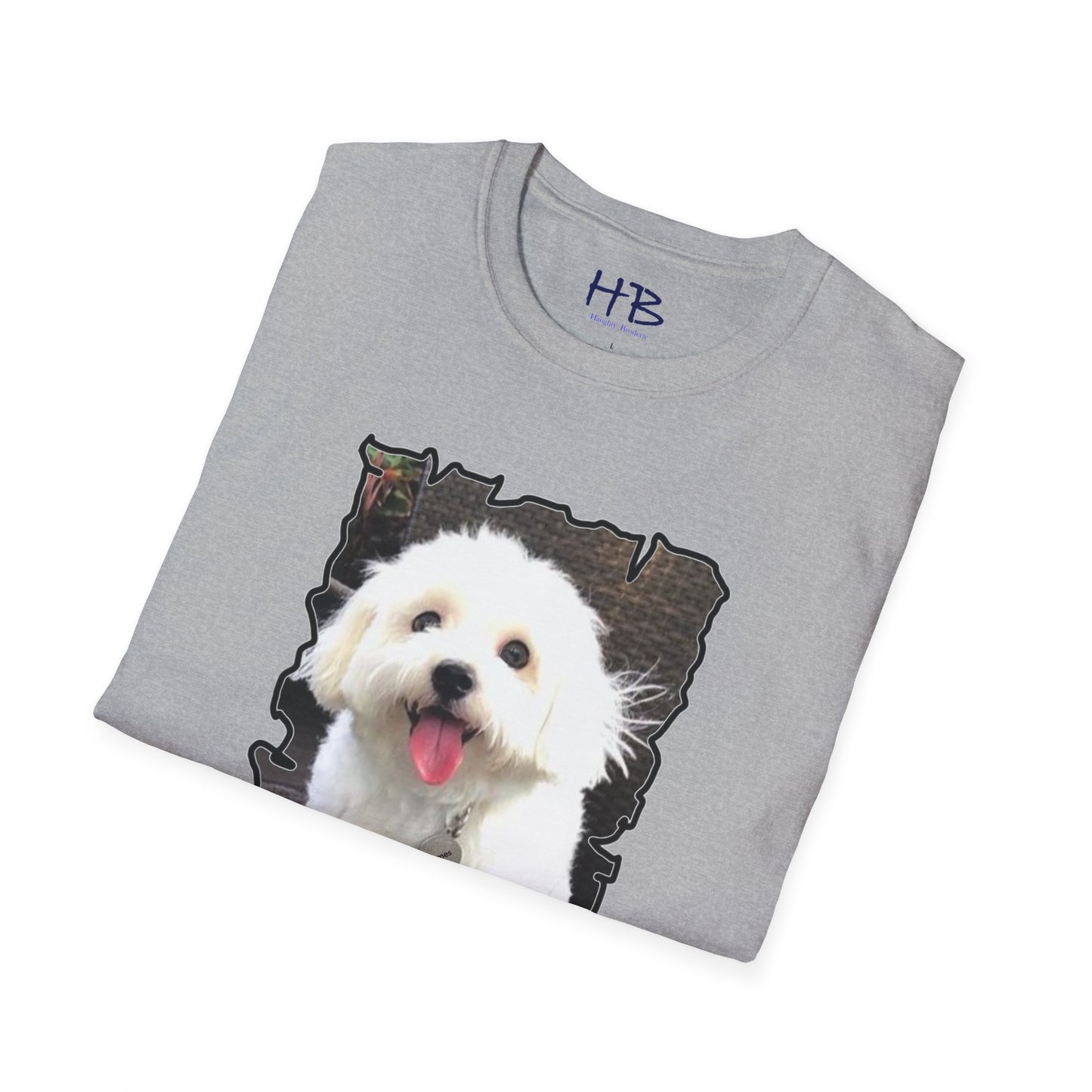 Bichon Malthese - Hermes with big smile and pink tongue