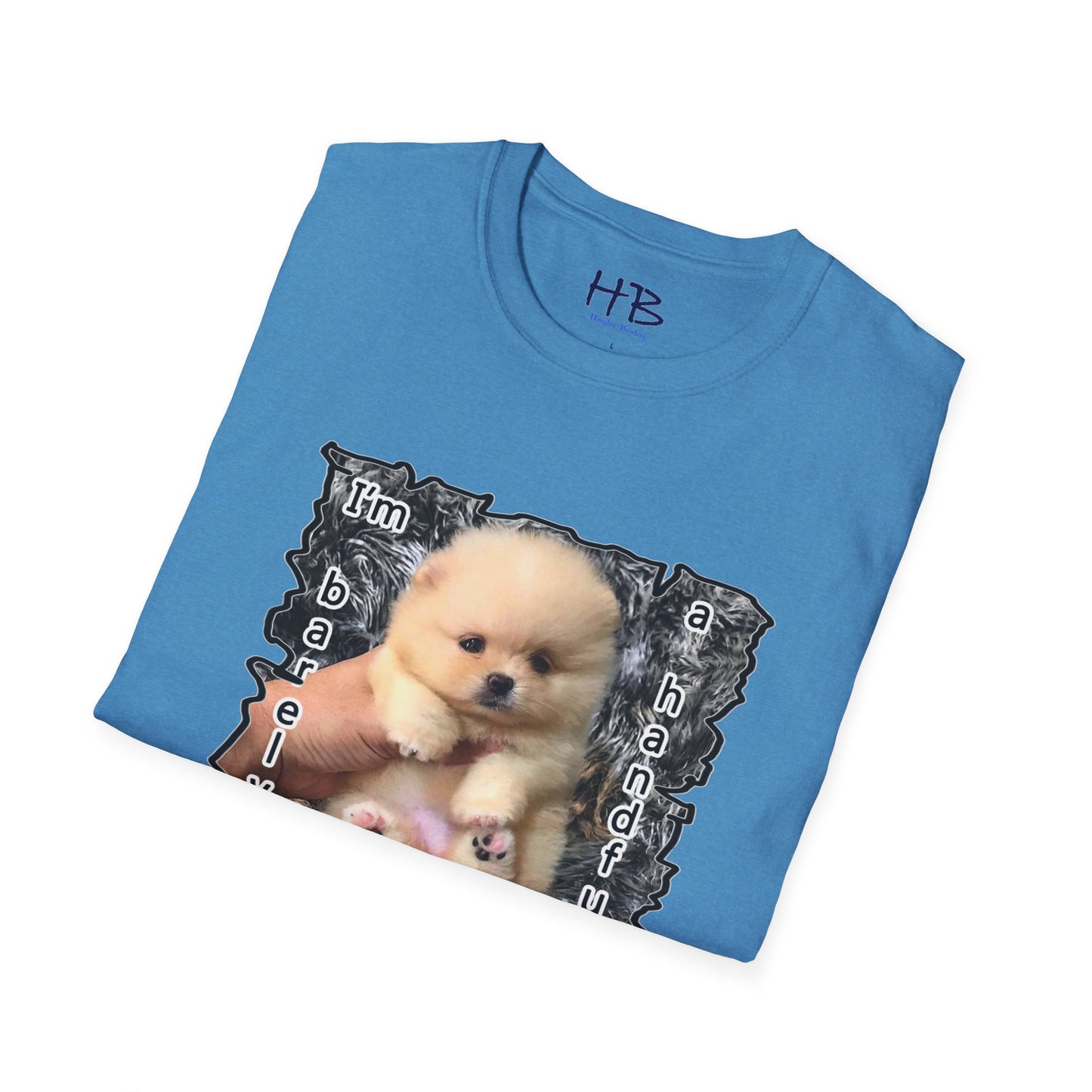 Look at me Im so small and cute Bichon Maltese