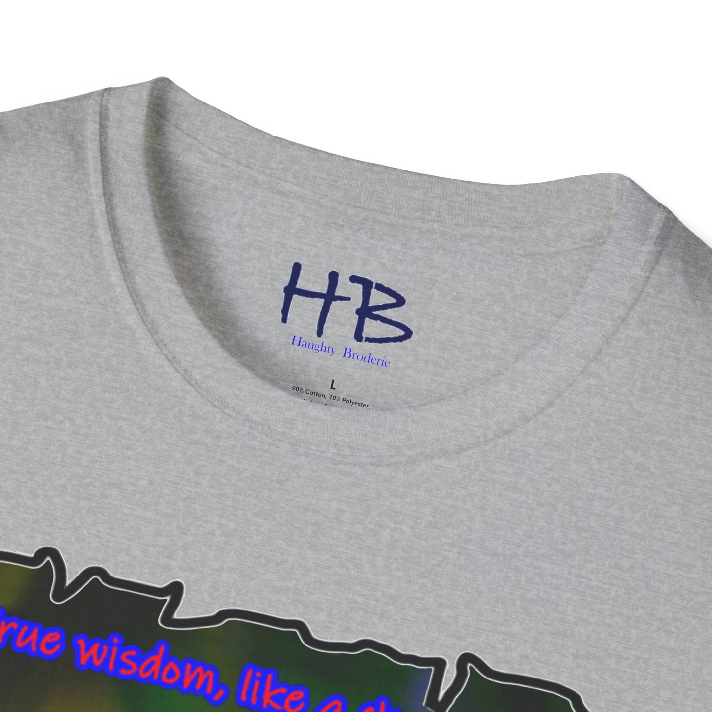 Adaptation Elegance with Colors of Resilience; Chameleon Chronicles Ever-Changing Brilliance using Wisdom's Camouflage