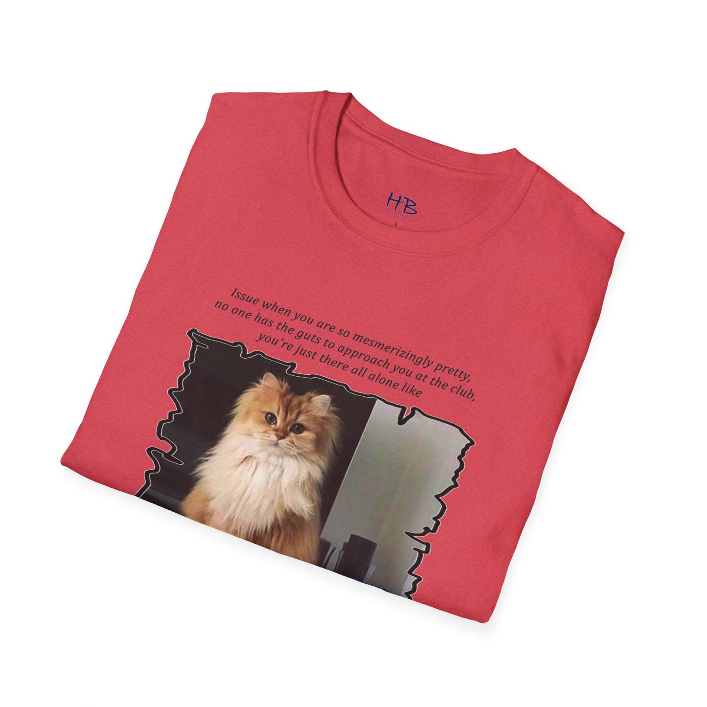 Mesmerizing Lonely Kitty