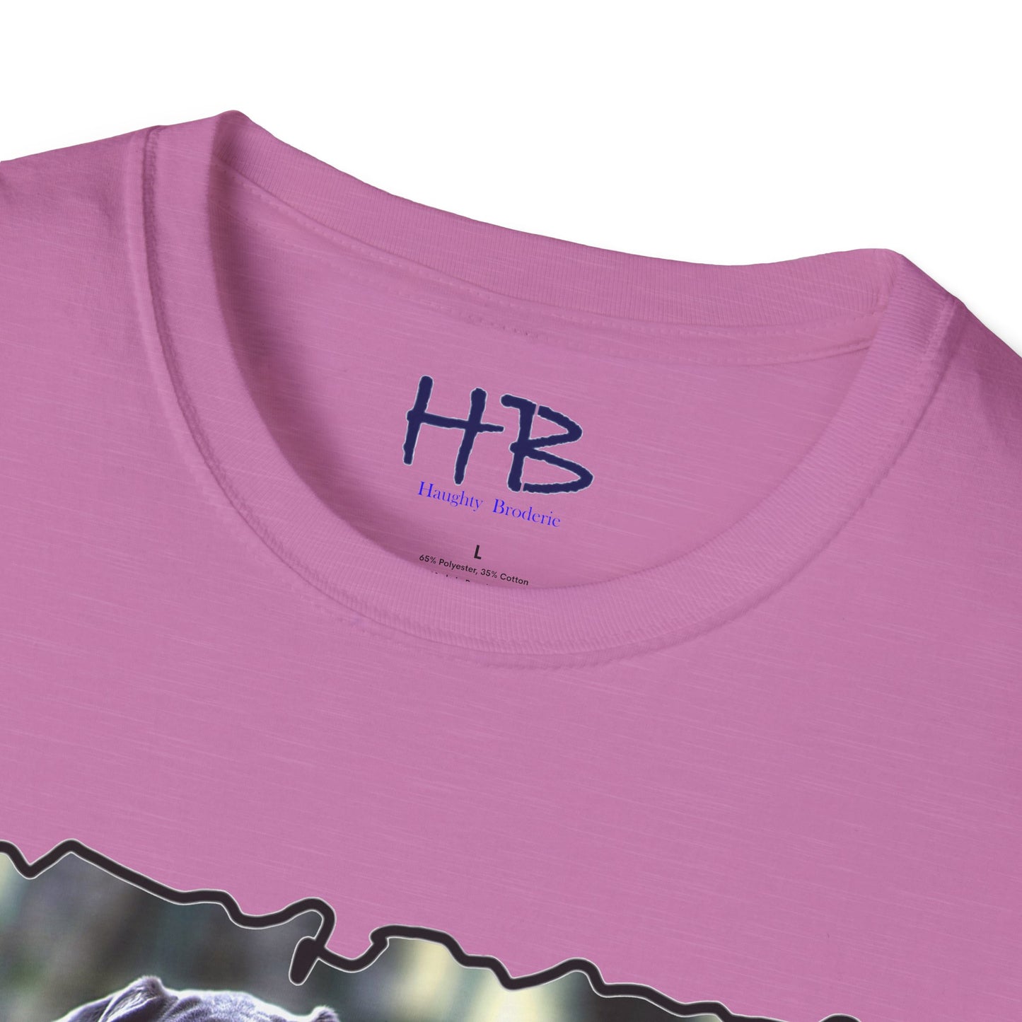 The Inquisitive Great Dane's Astonishment; Expression Captivatingly Curiosity of Amazement