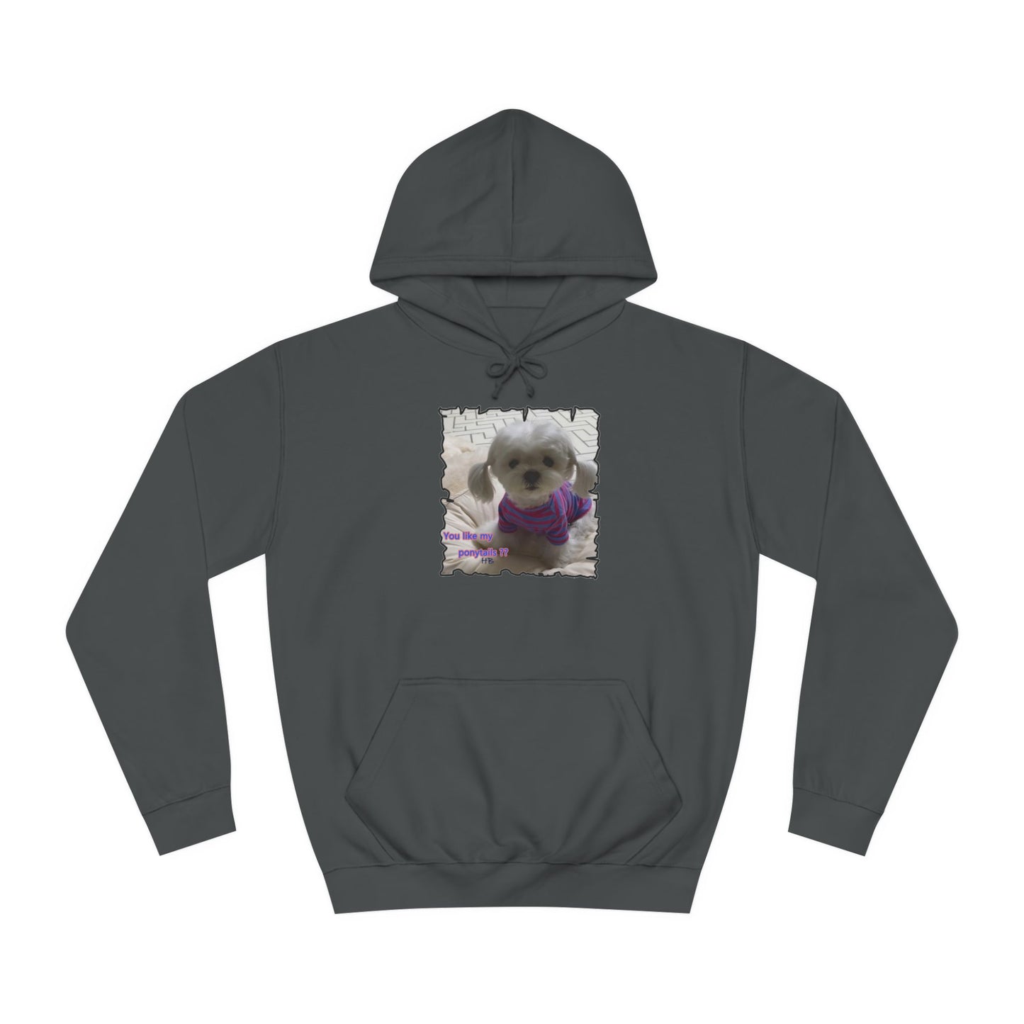 Bichon Maltese extra cute ponytails (Hoodie - Cozy and Durable)