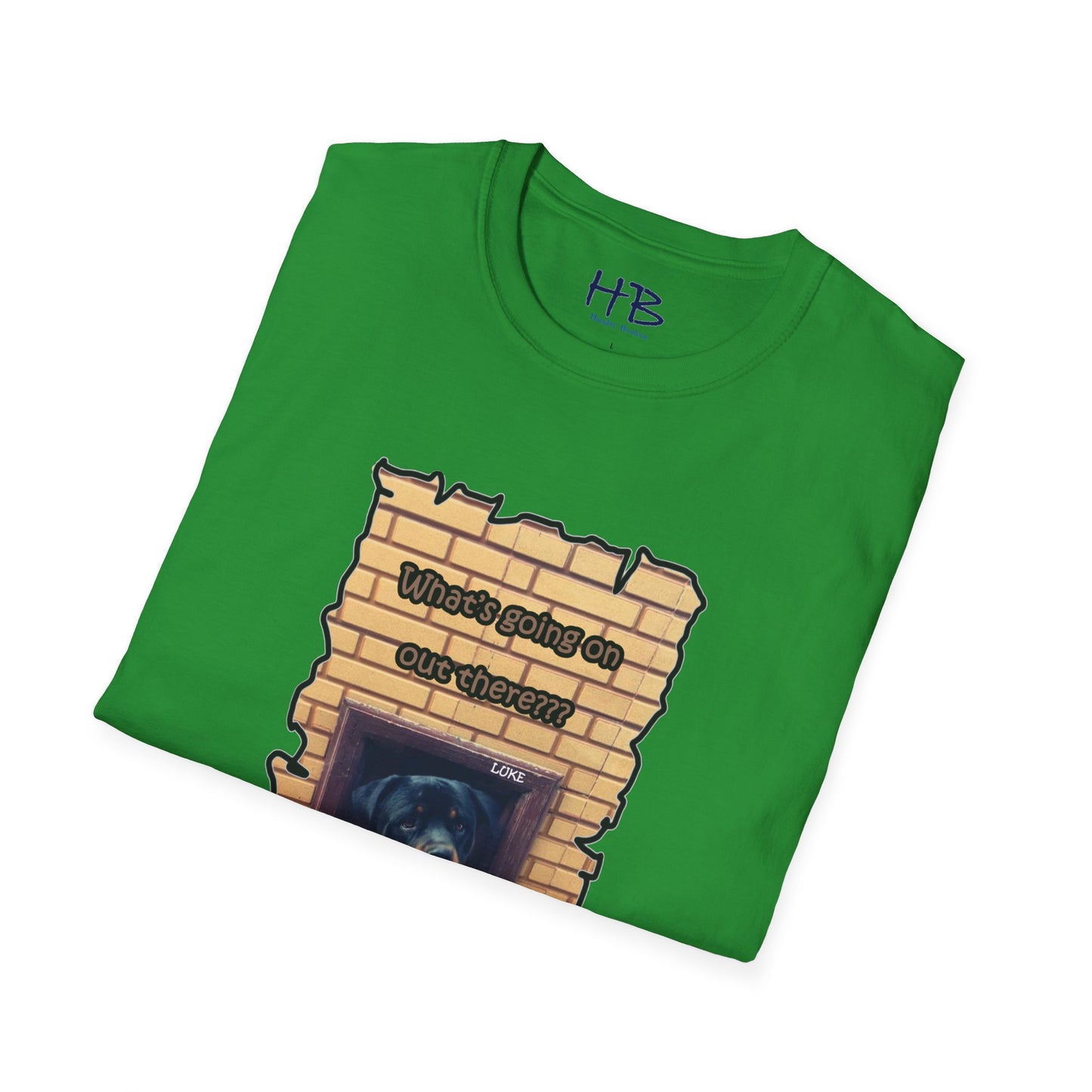 A Tale of Luke's Awakening: Puzzled Perfection looking to Embrace Equanimity